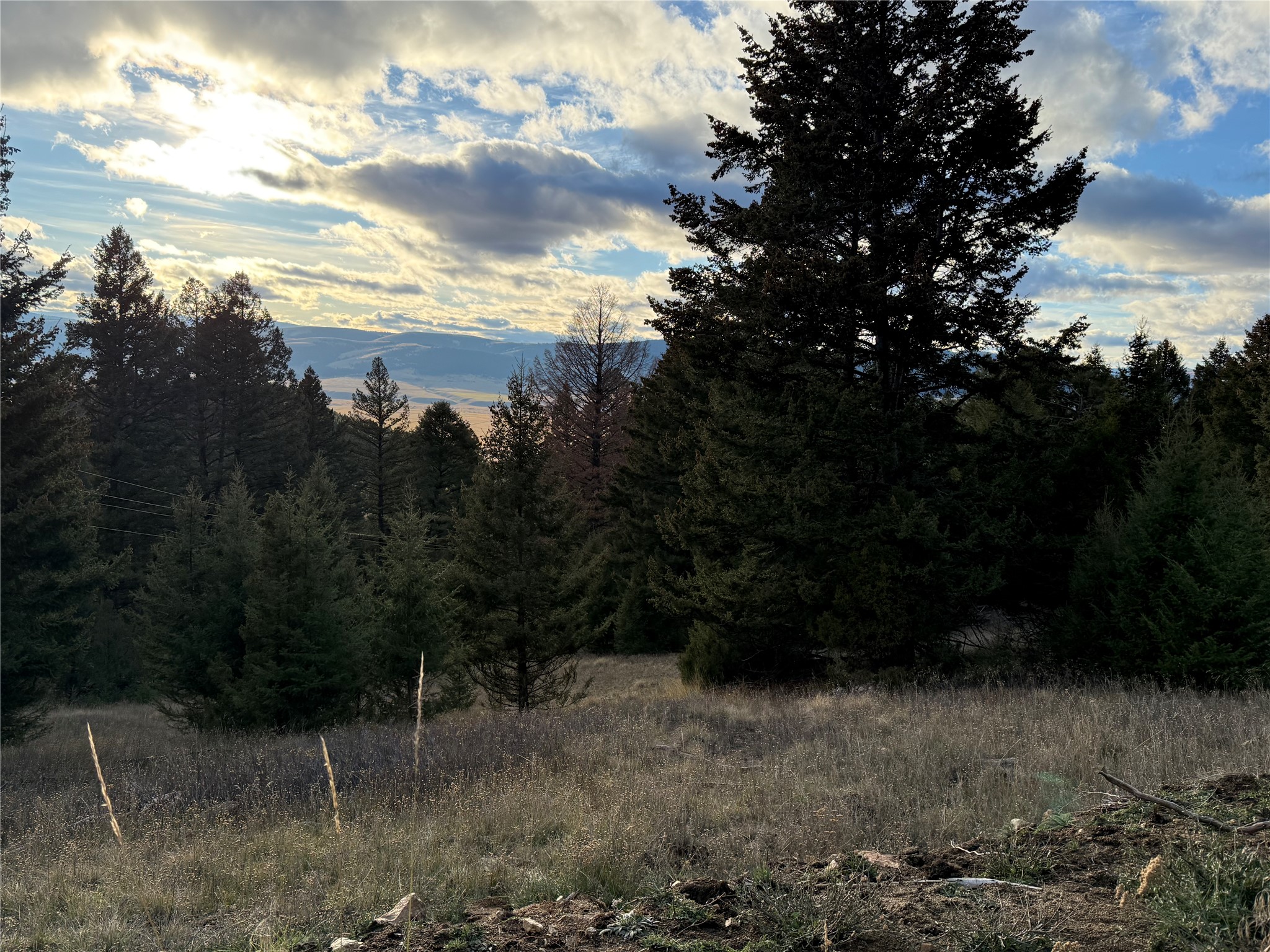 Lot 3 Scranton Lode Property Photo 18