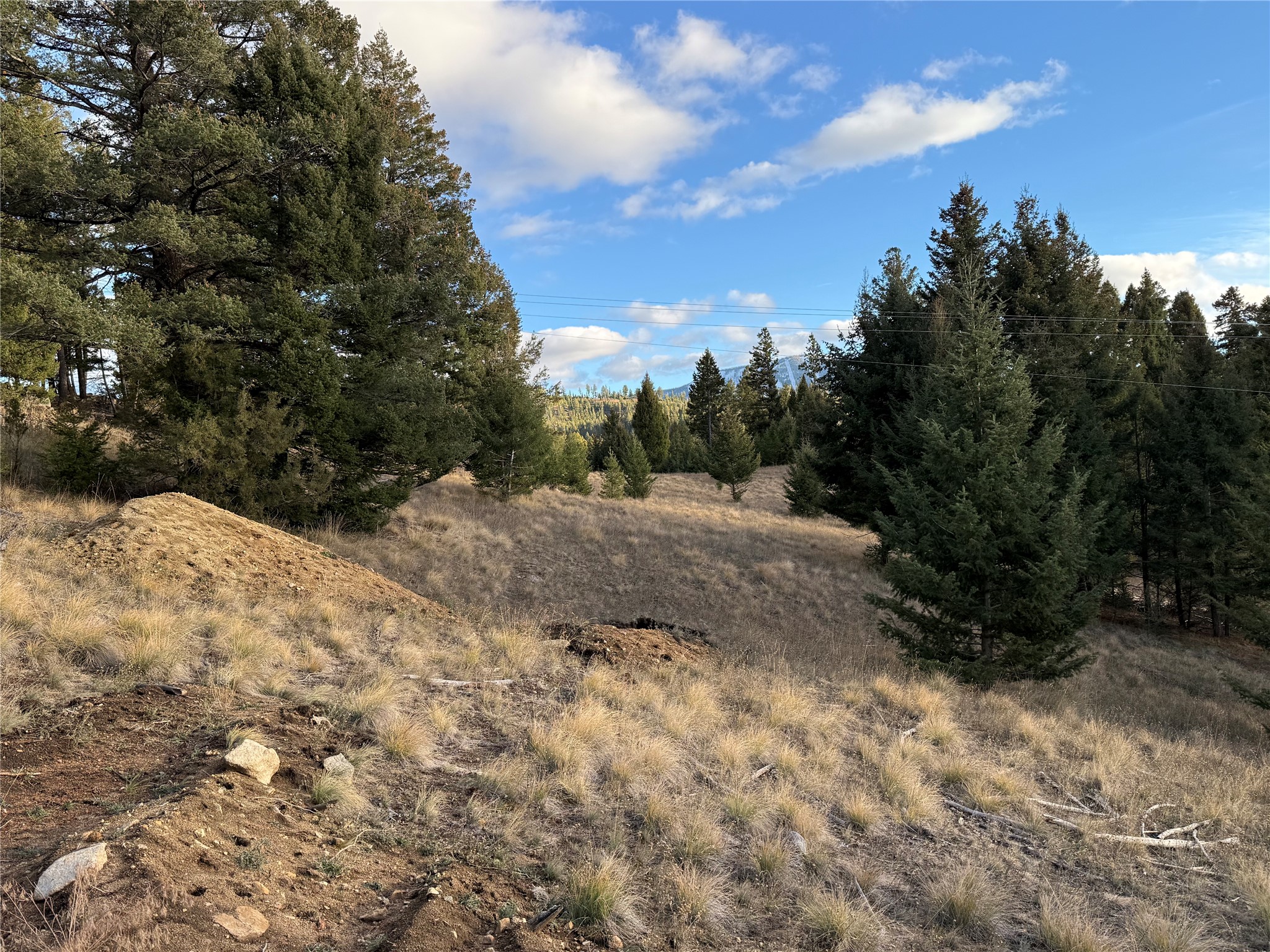 Lot 3 Scranton Lode Property Photo 19