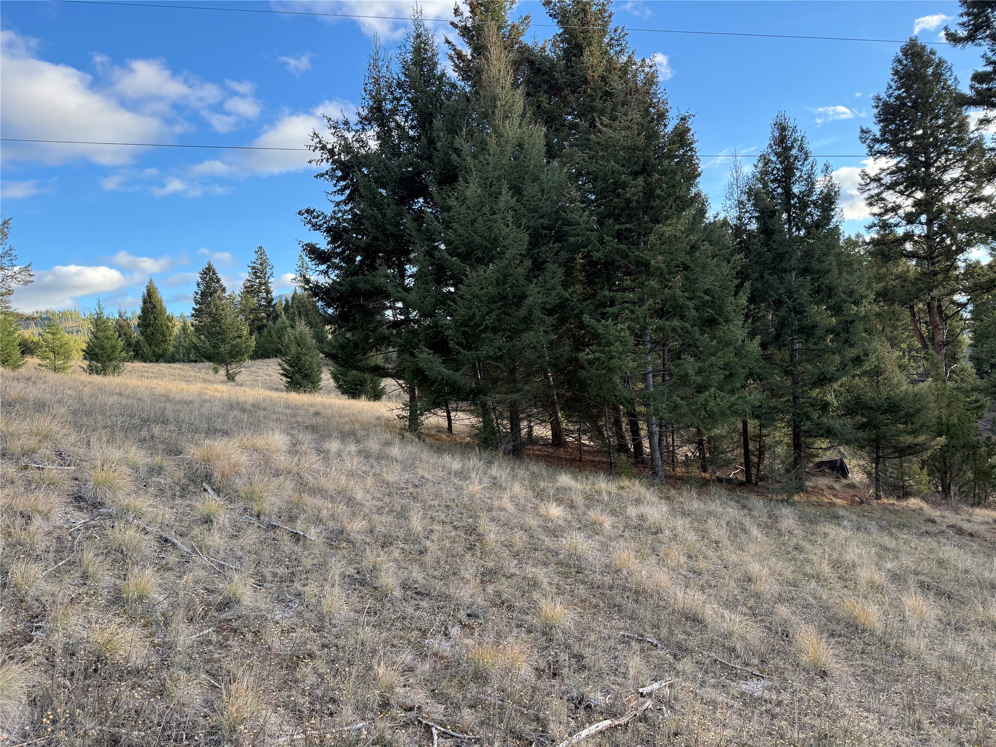 Lot 3 Scranton Lode Property Photo 20
