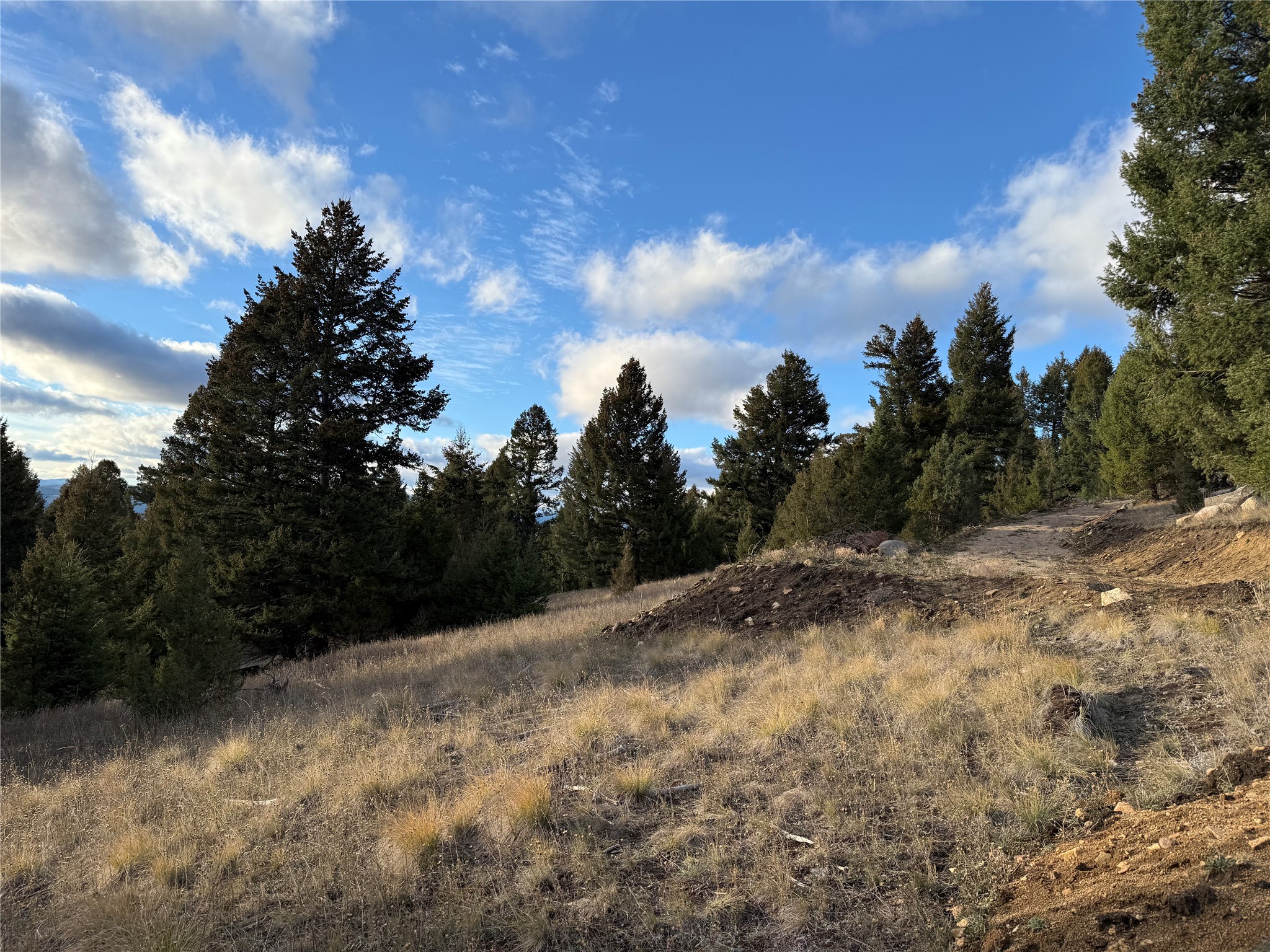 Lot 3 Scranton Lode Property Photo 21