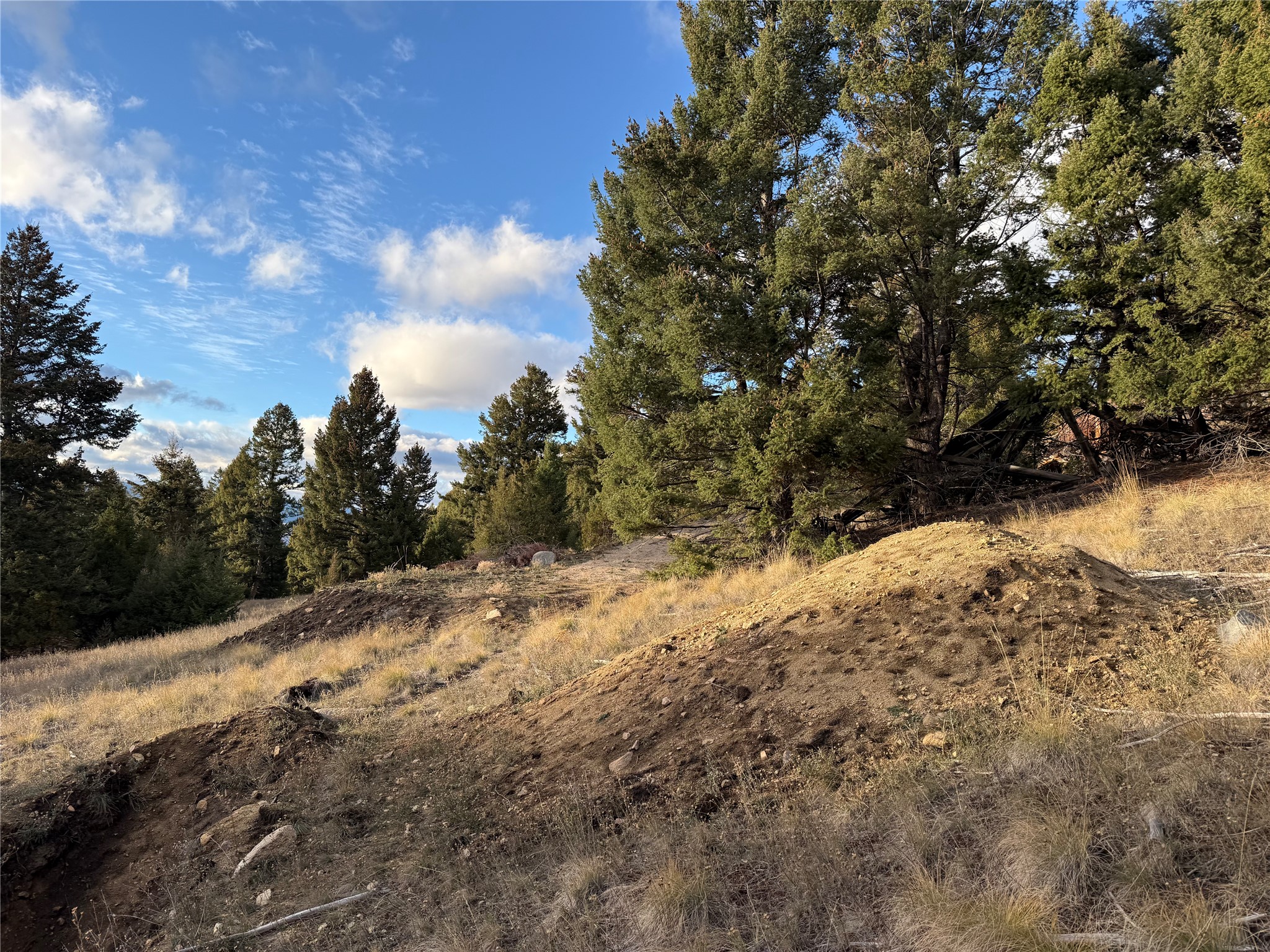 Lot 3 Scranton Lode Property Photo 22