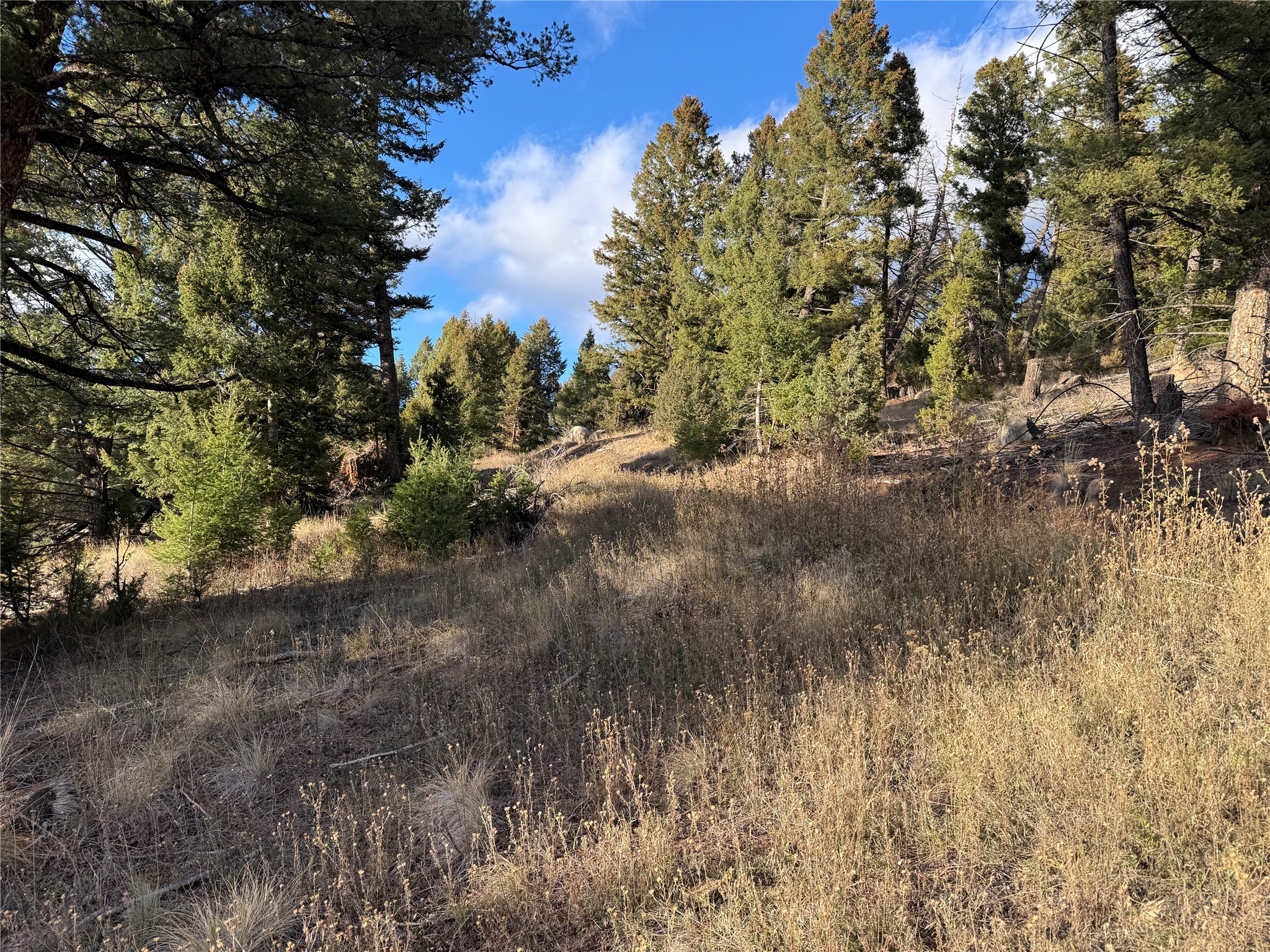 Lot 3 Scranton Lode Property Photo 23