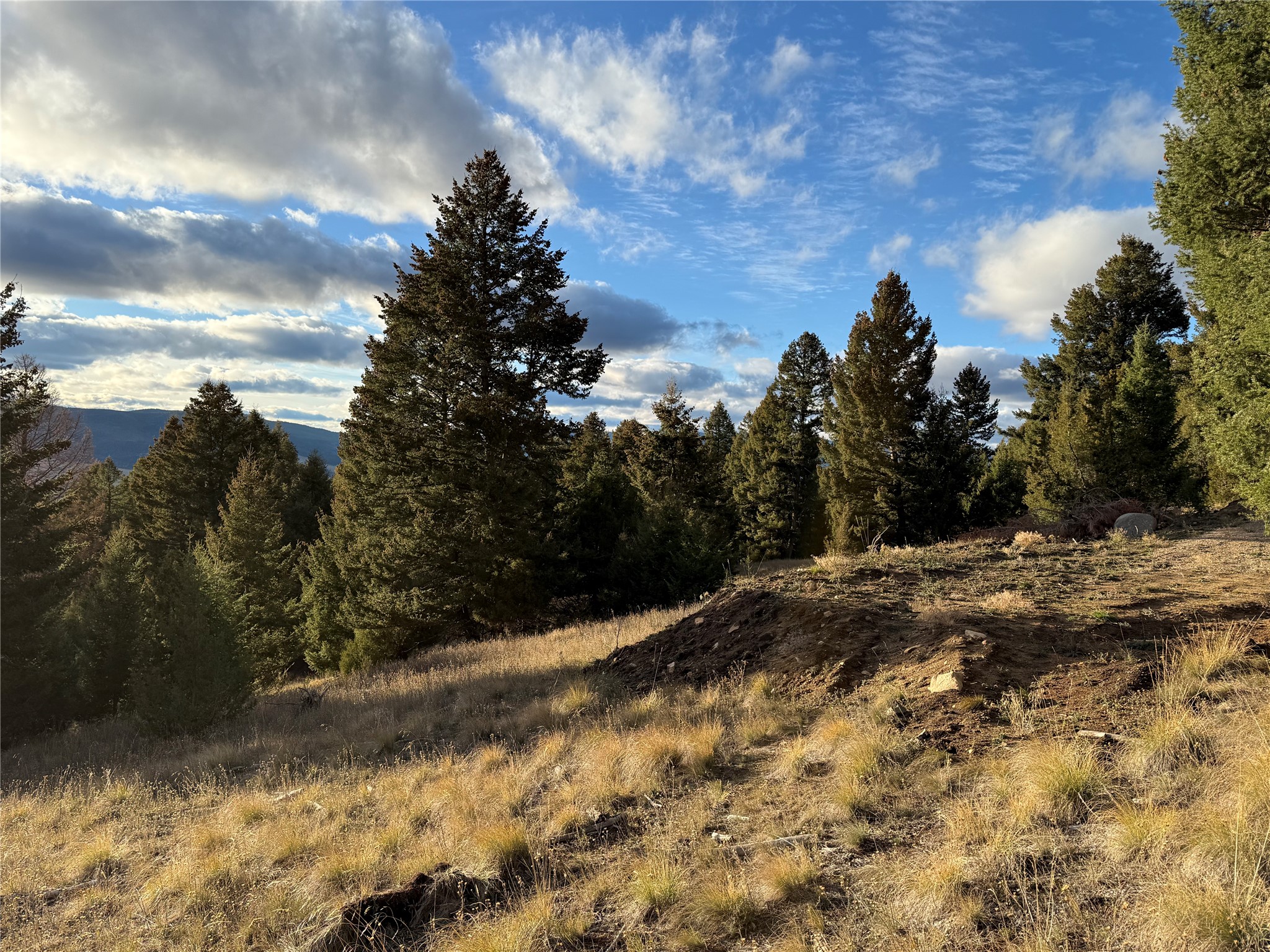 Lot 3 Scranton Lode Property Photo 24