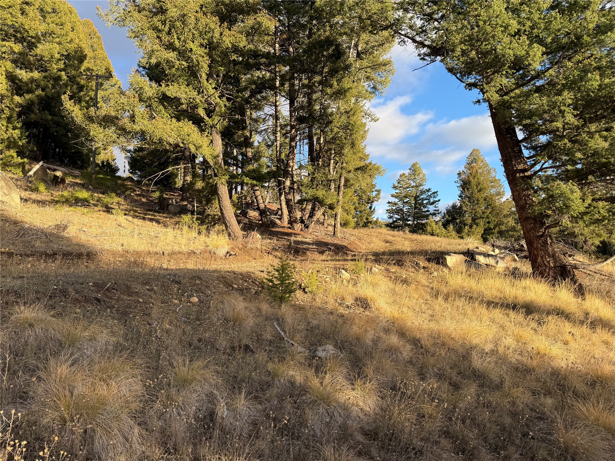 Lot 4 Scranton Lode Property Photo 2