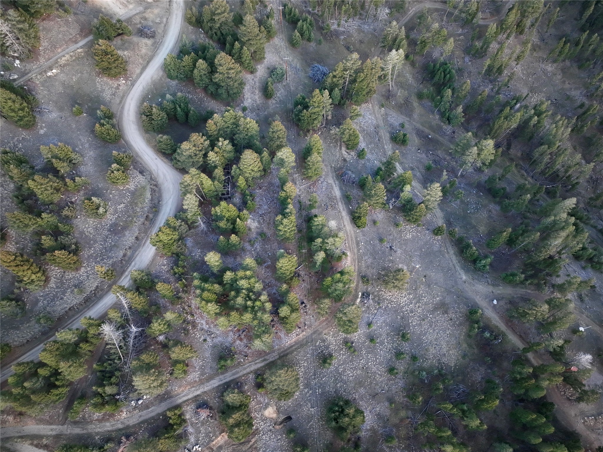 Lot 4 Scranton Lode Property Photo 6