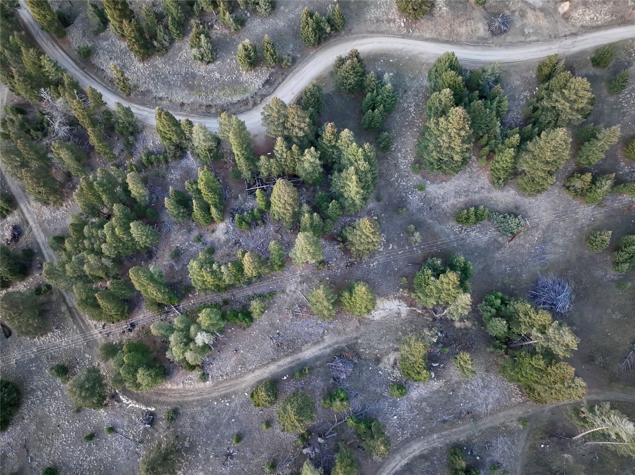 Lot 4 Scranton Lode Property Photo 7