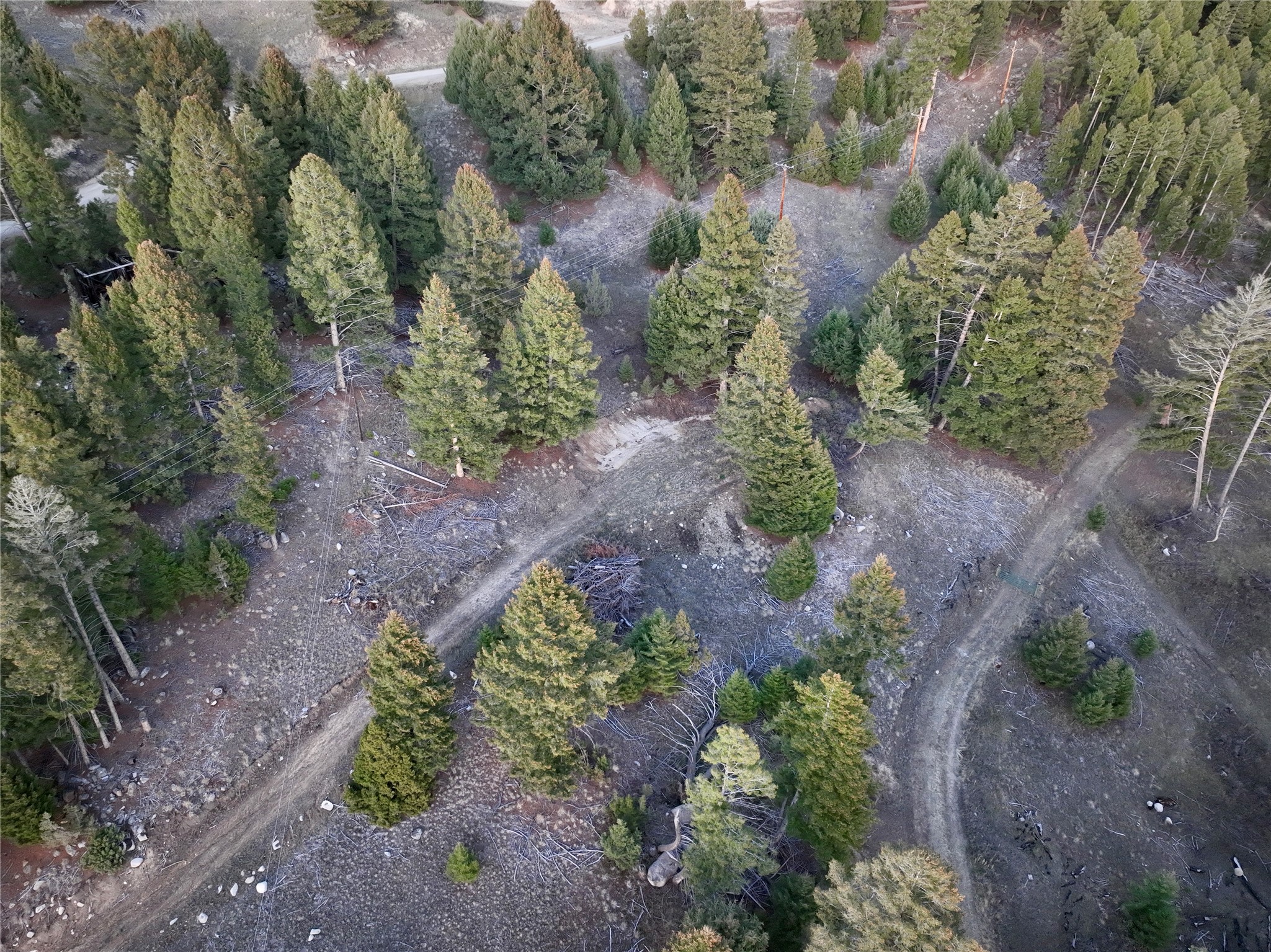 Lot 4 Scranton Lode Property Photo 8