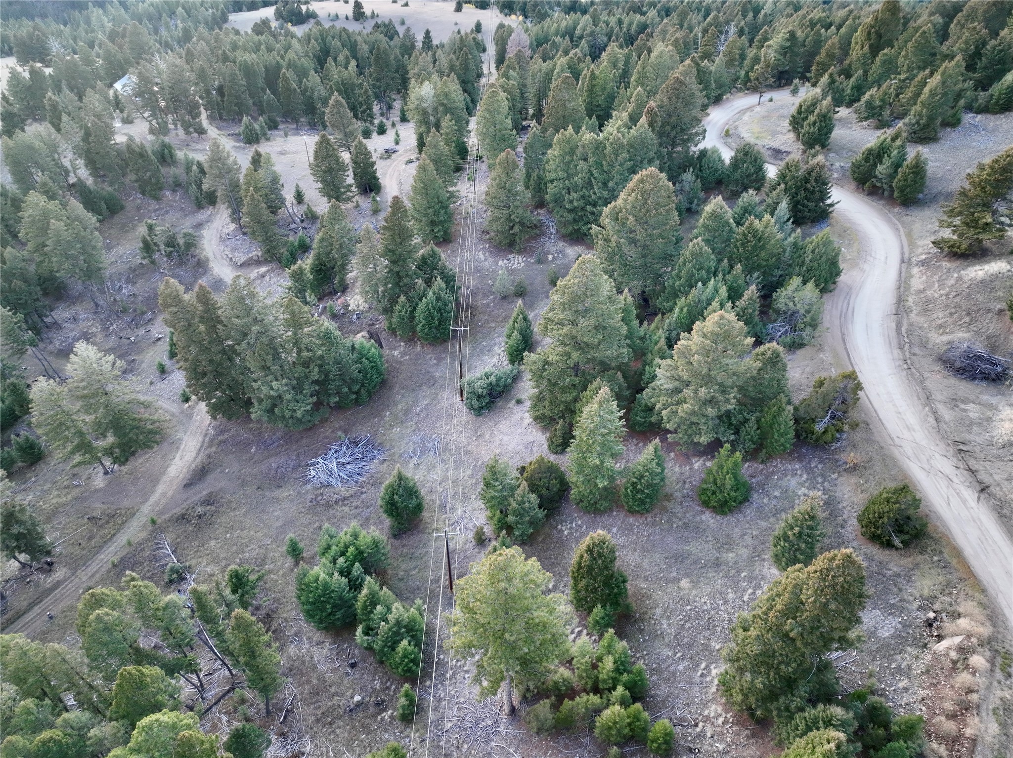 Lot 4 Scranton Lode Property Photo 9