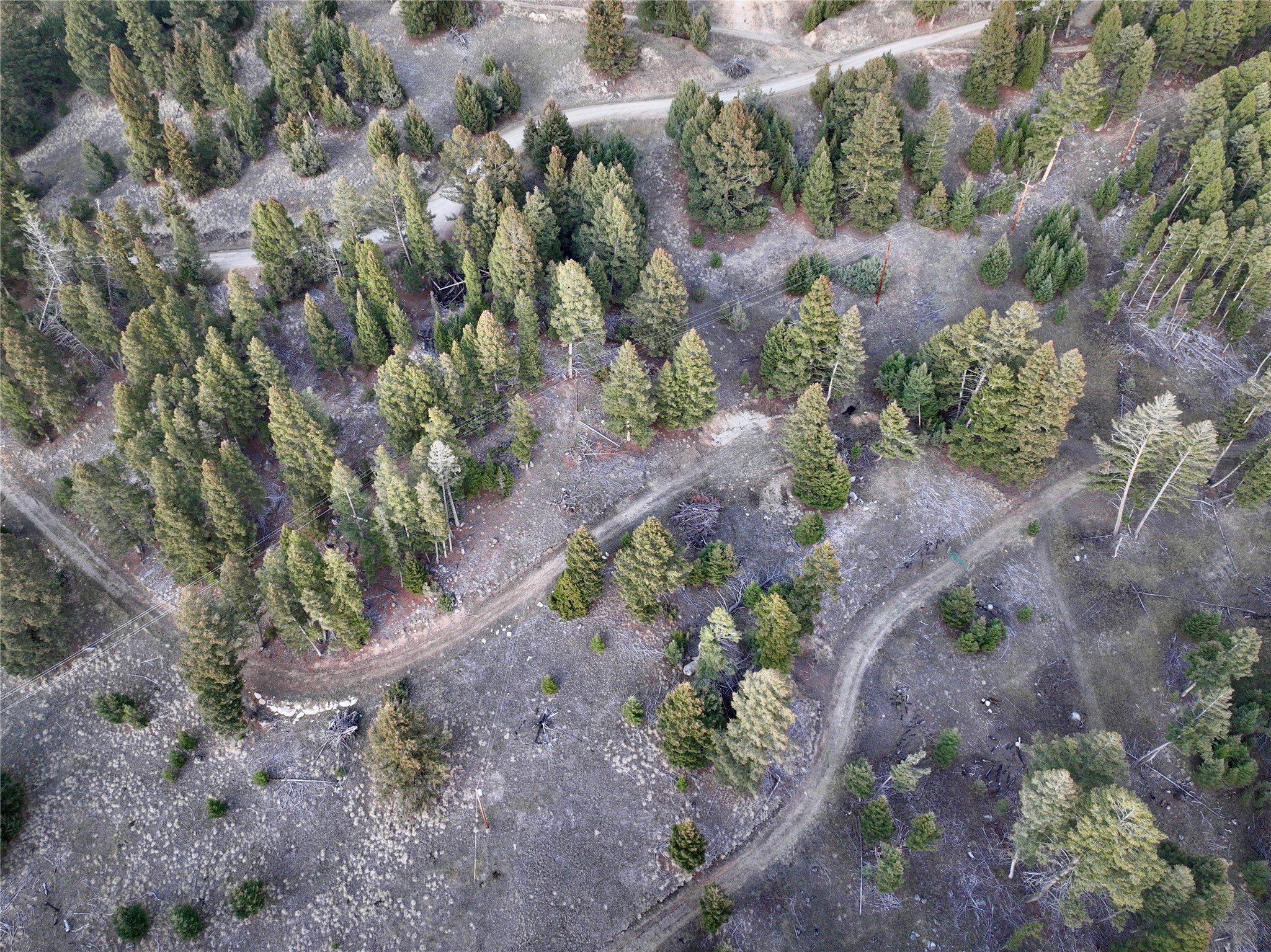 Lot 4 Scranton Lode Property Photo 11