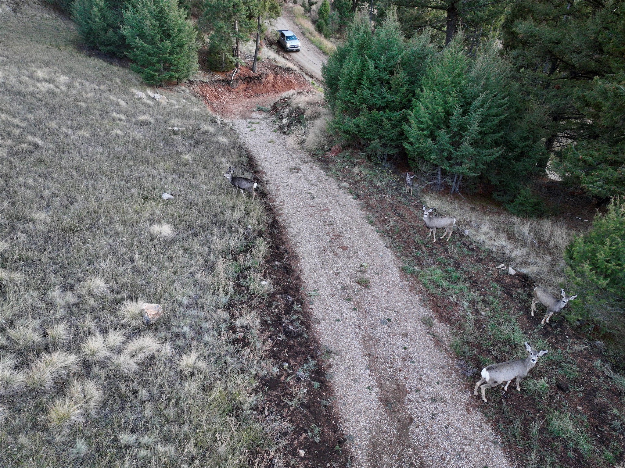 Lot 4 Scranton Lode Property Photo 12