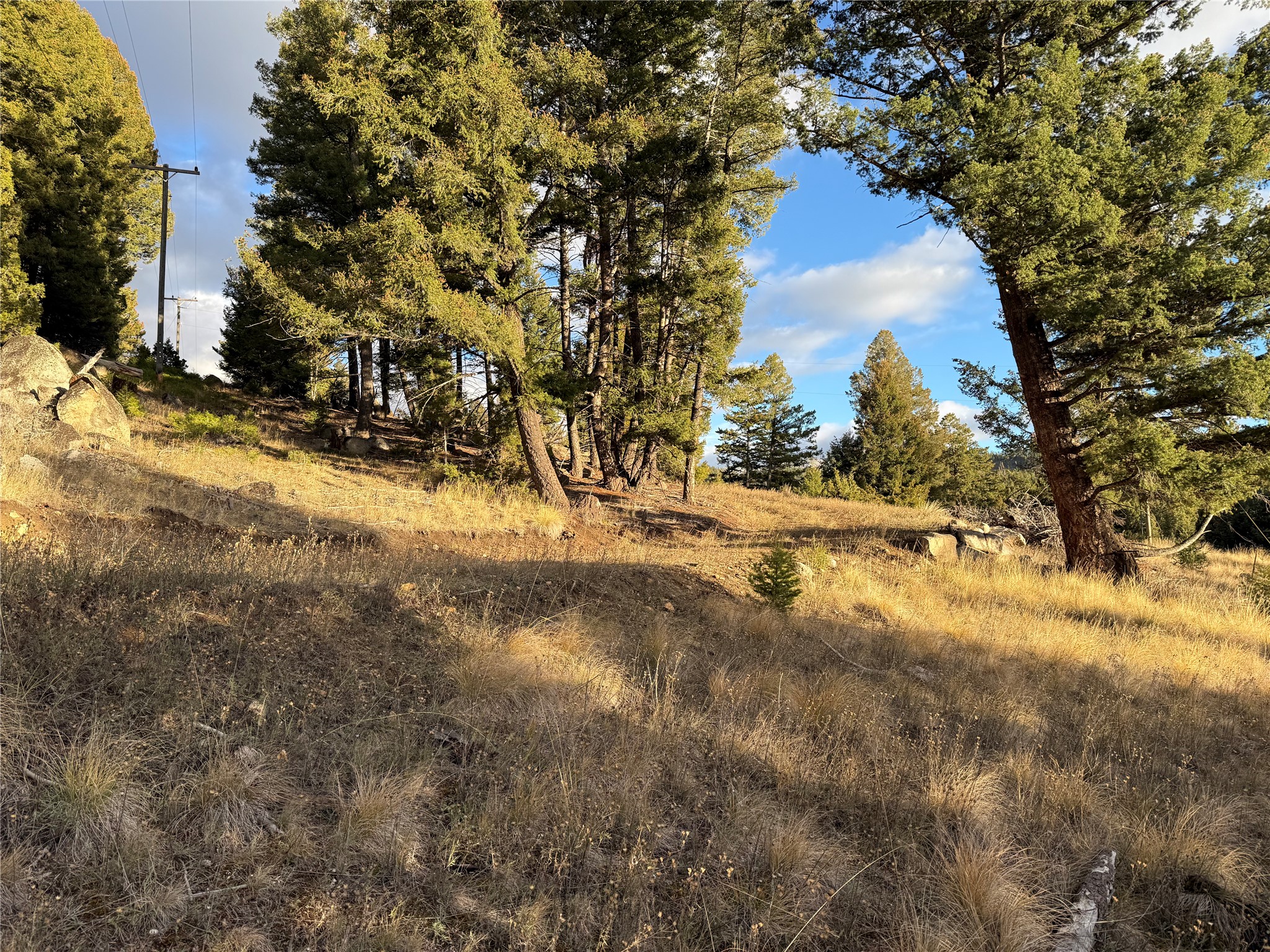 Lot 4 Scranton Lode Property Photo 15