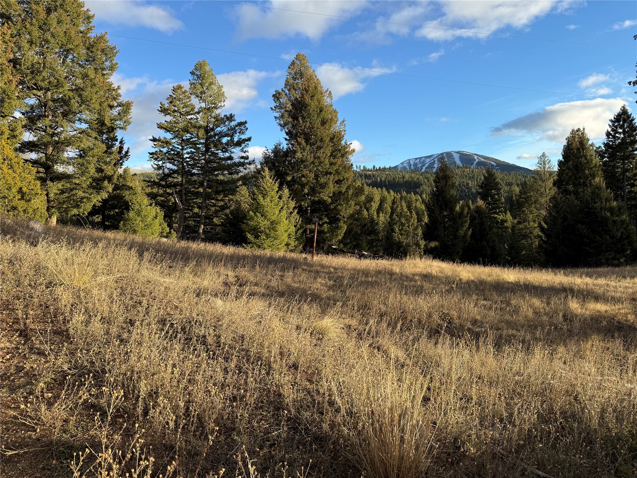 Lot 4 Scranton Lode Property Photo 16