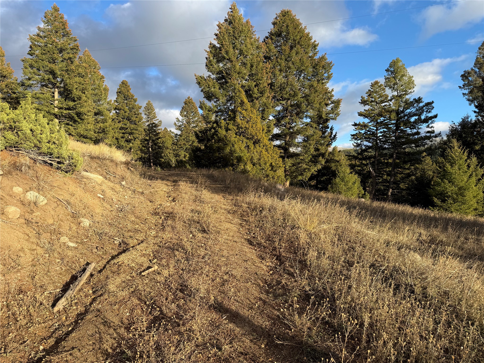 Lot 4 Scranton Lode Property Photo 17