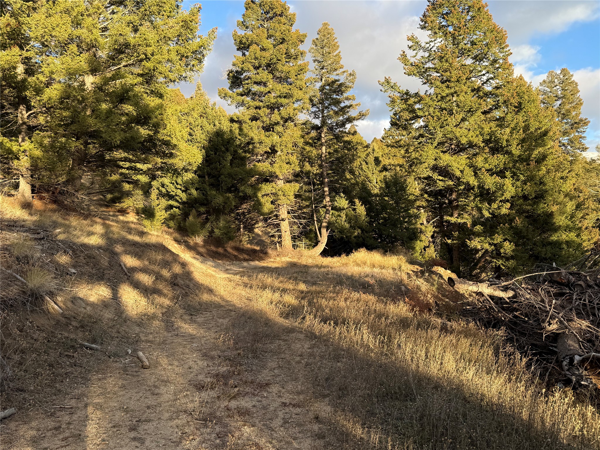 Lot 4 Scranton Lode Property Photo 18