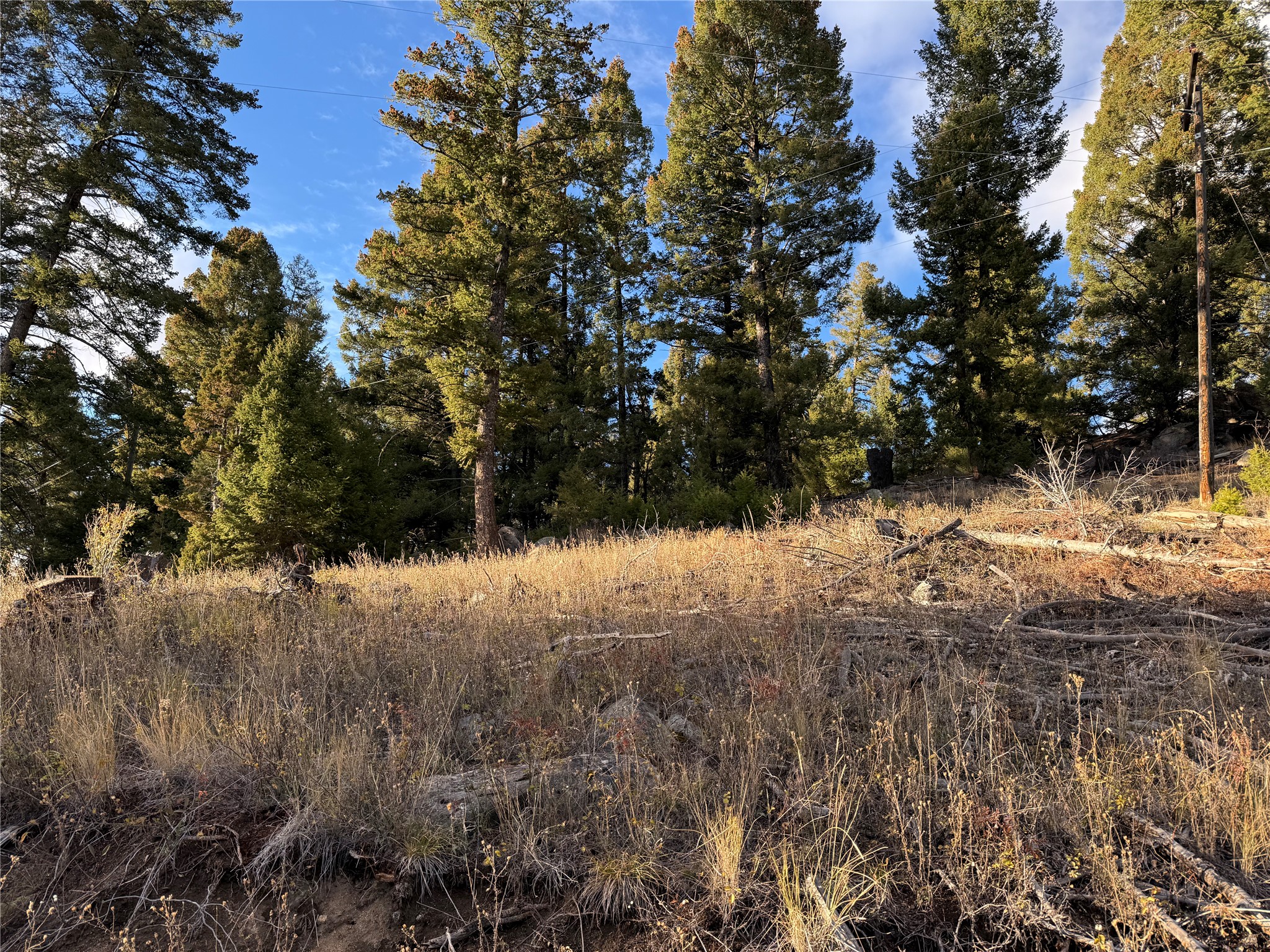Lot 4 Scranton Lode Property Photo 20