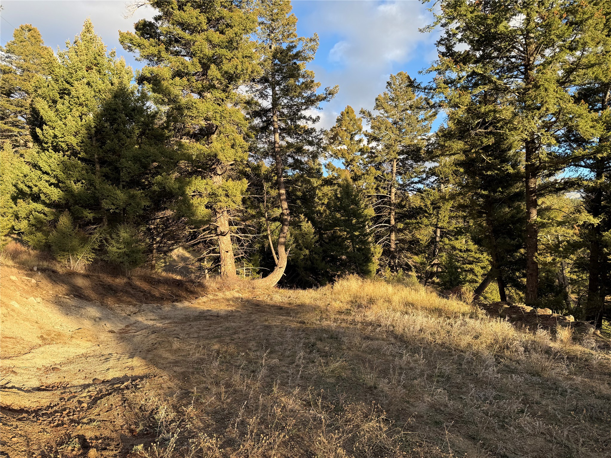 Lot 4 Scranton Lode Property Photo 22