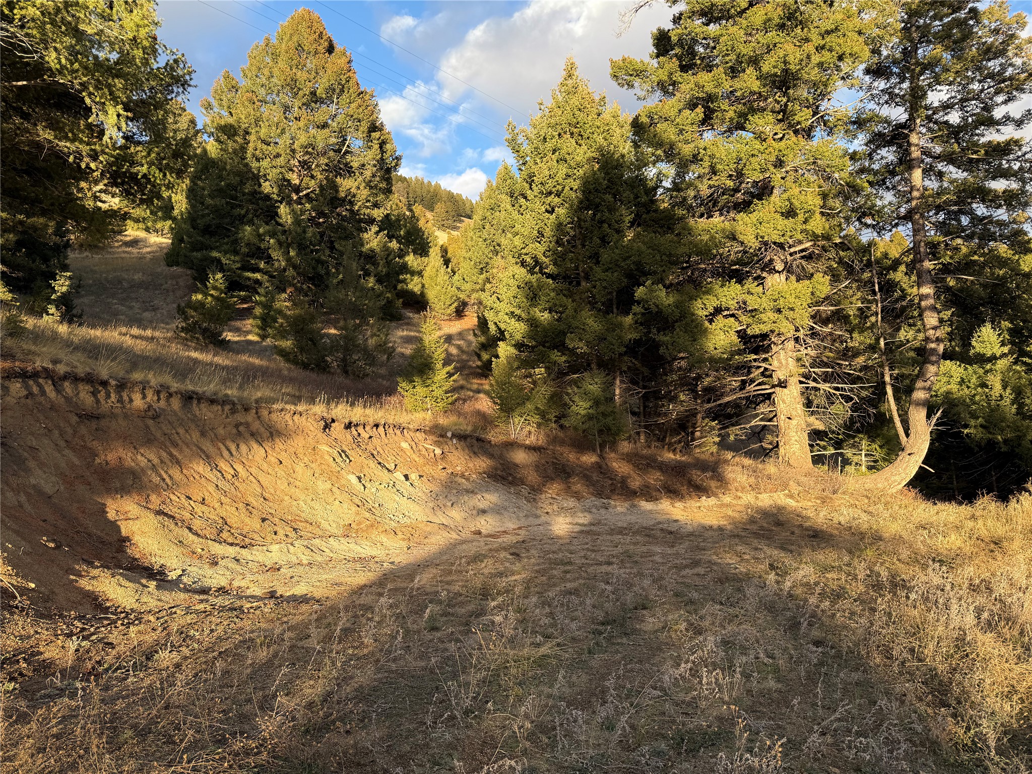 Lot 4 Scranton Lode Property Photo 23