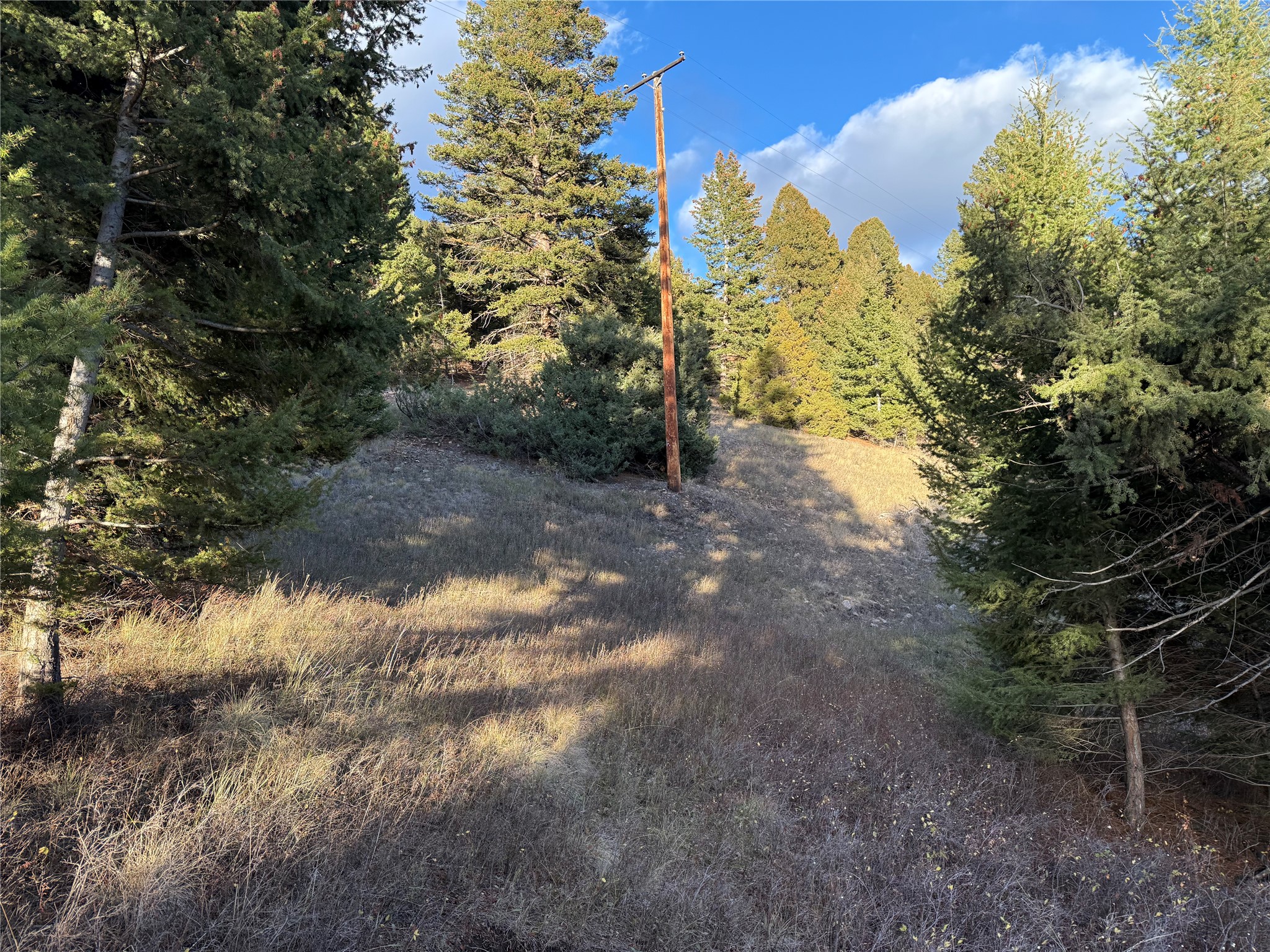 Lot 4 Scranton Lode Property Photo 27