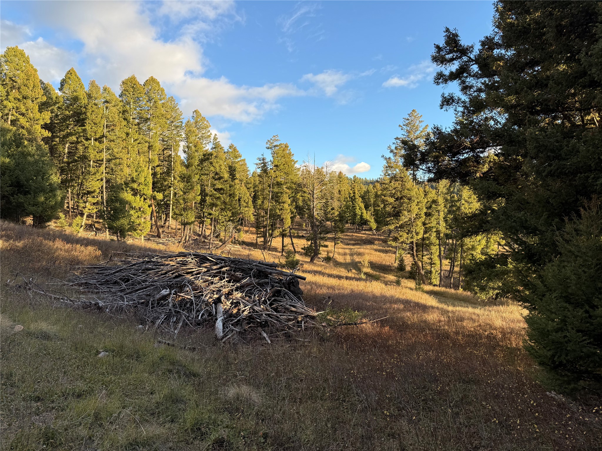 Lot 4 Scranton Lode Property Photo 28