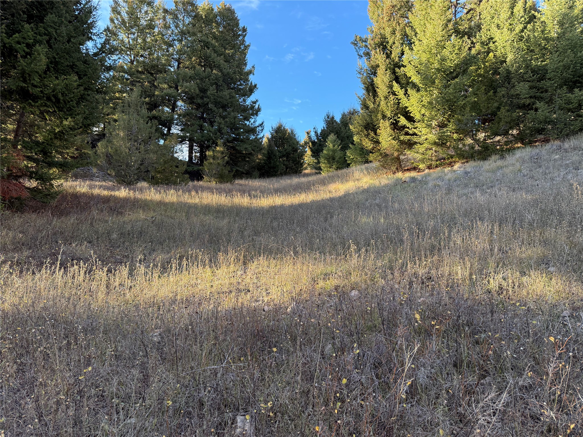 Lot 4 Scranton Lode Property Photo 29