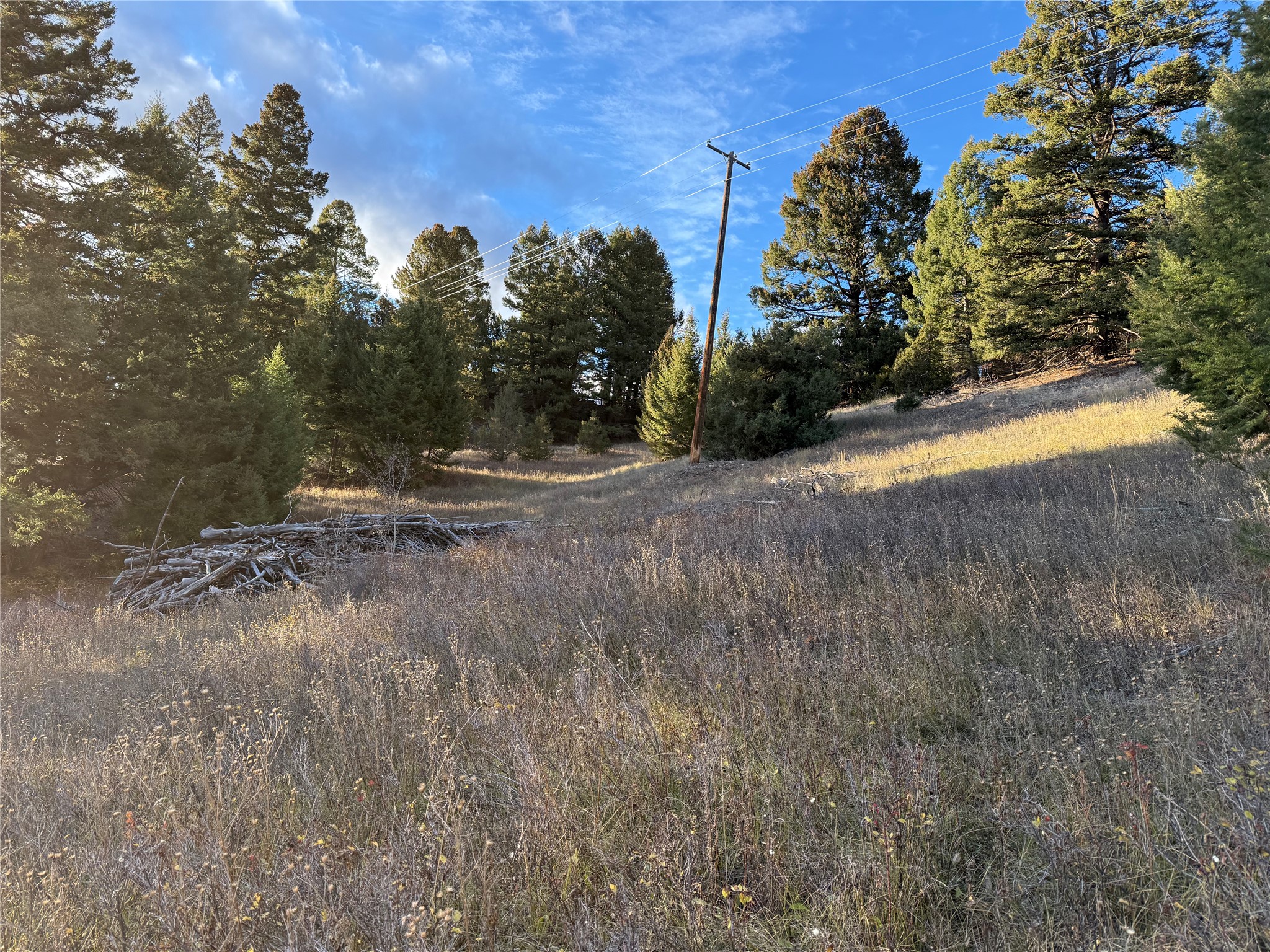 Lot 4 Scranton Lode Property Photo 30