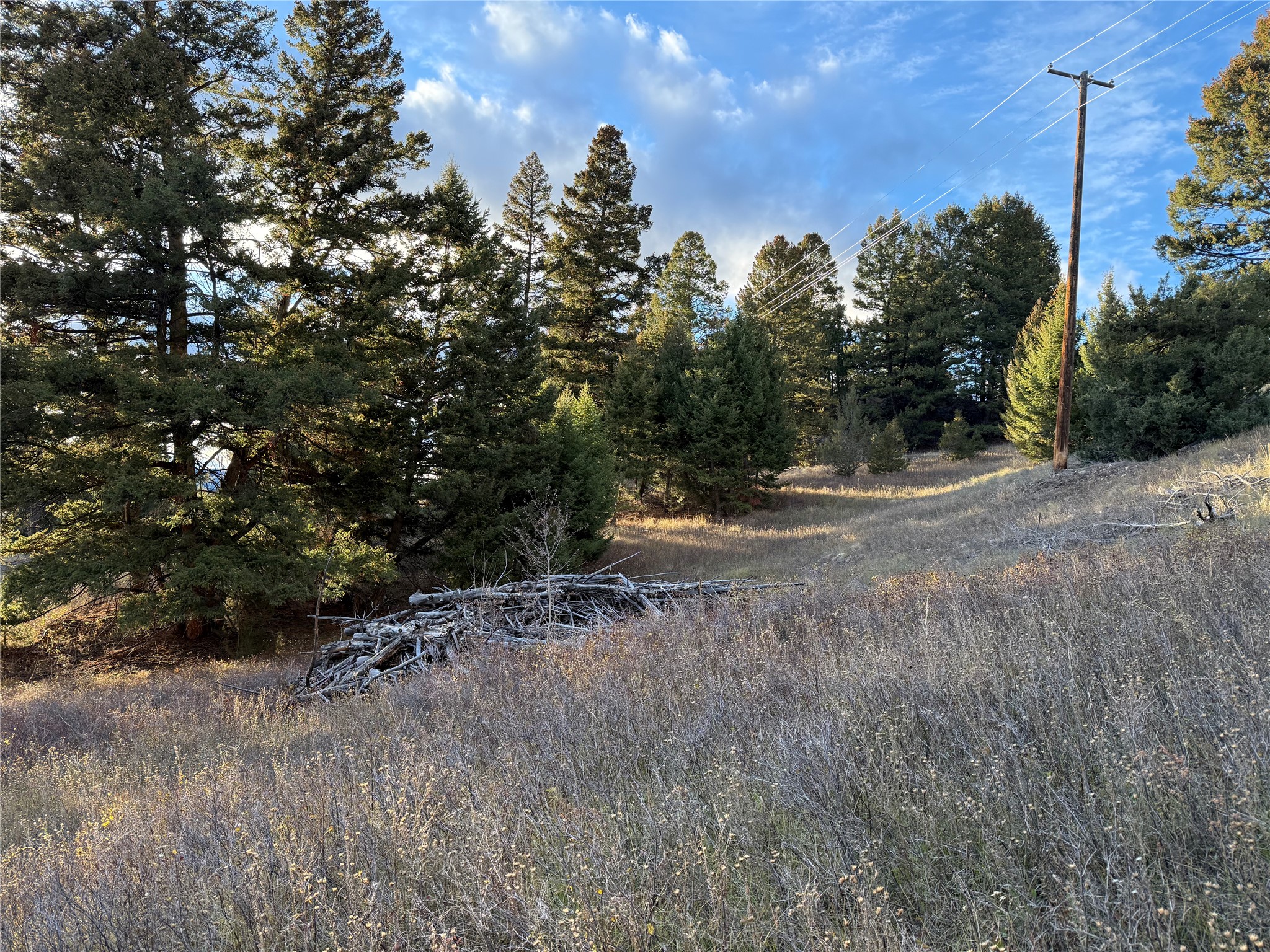 Lot 4 Scranton Lode Property Photo 31