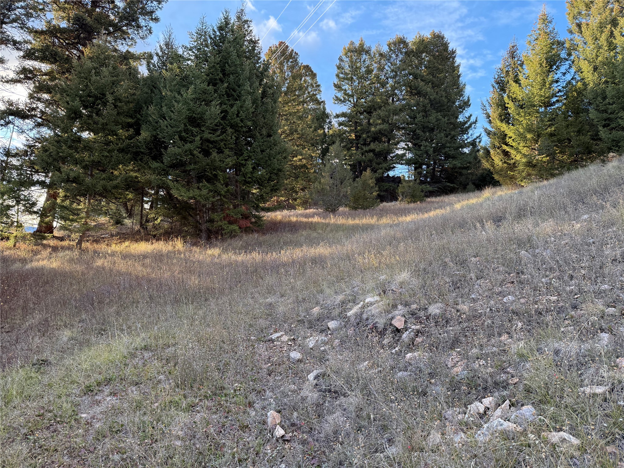 Lot 4 Scranton Lode Property Photo 32