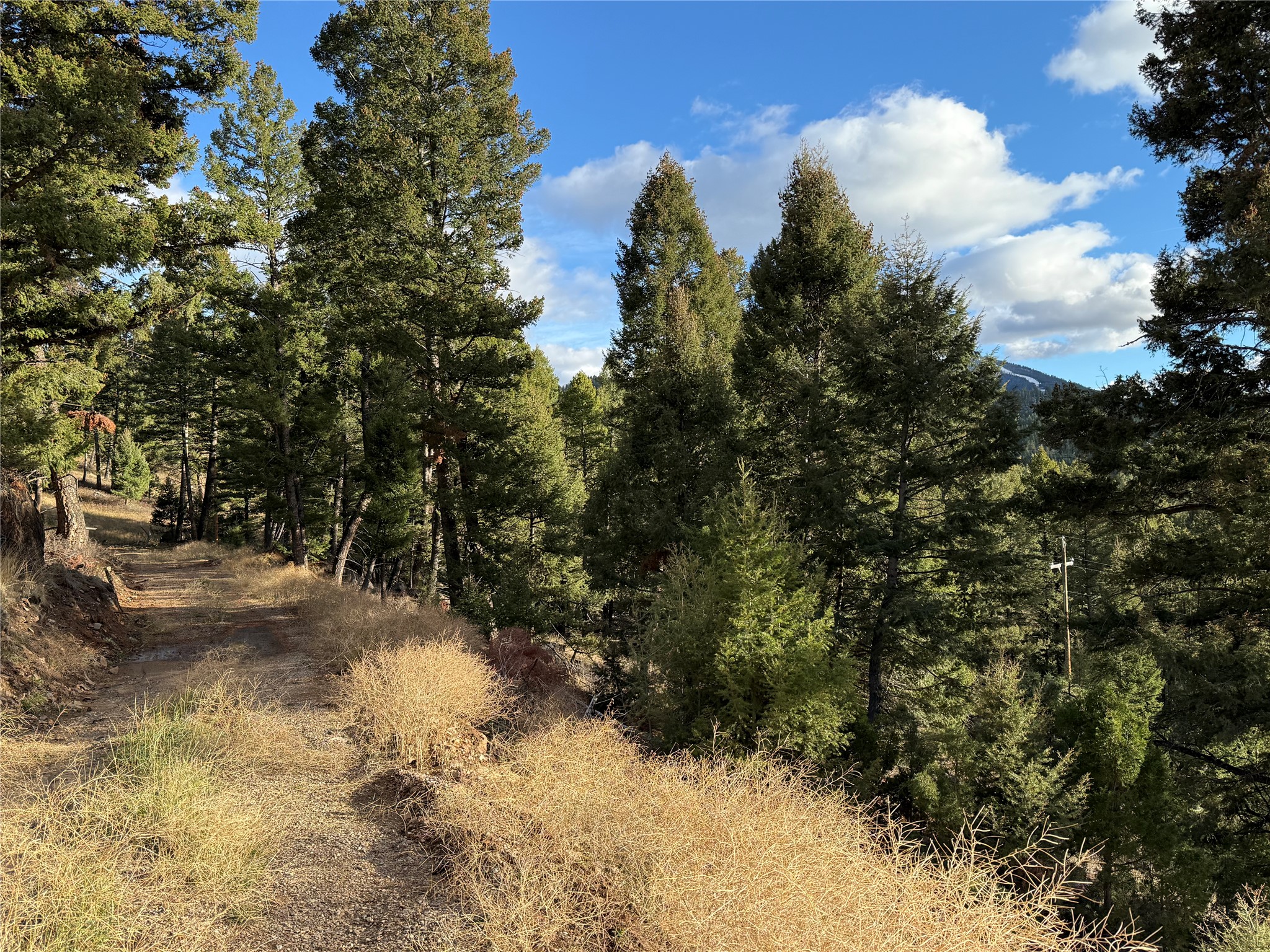 Lot 5 Scranton Lode Property Photo 15