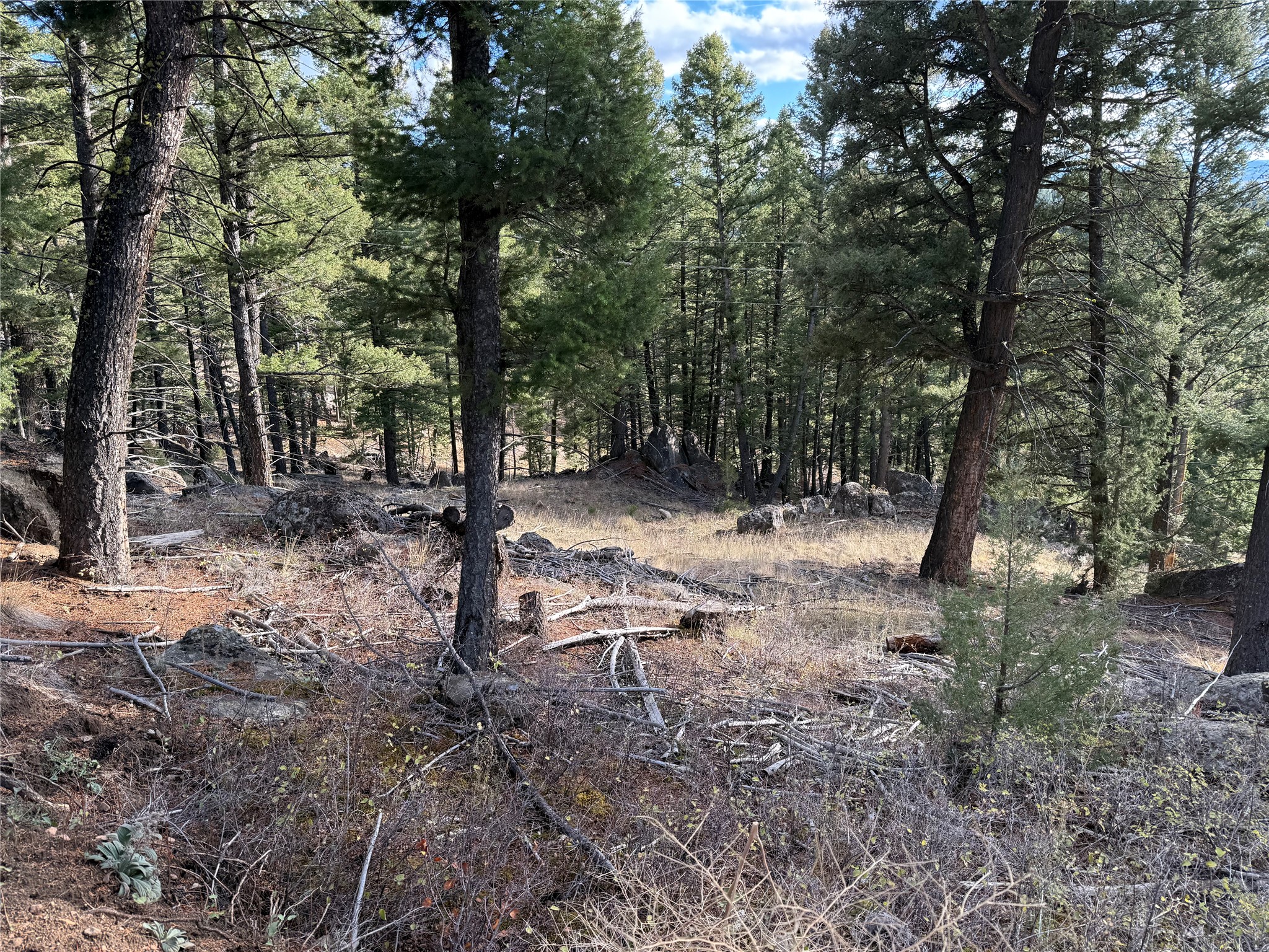 Lot 5 Scranton Lode Property Photo 17