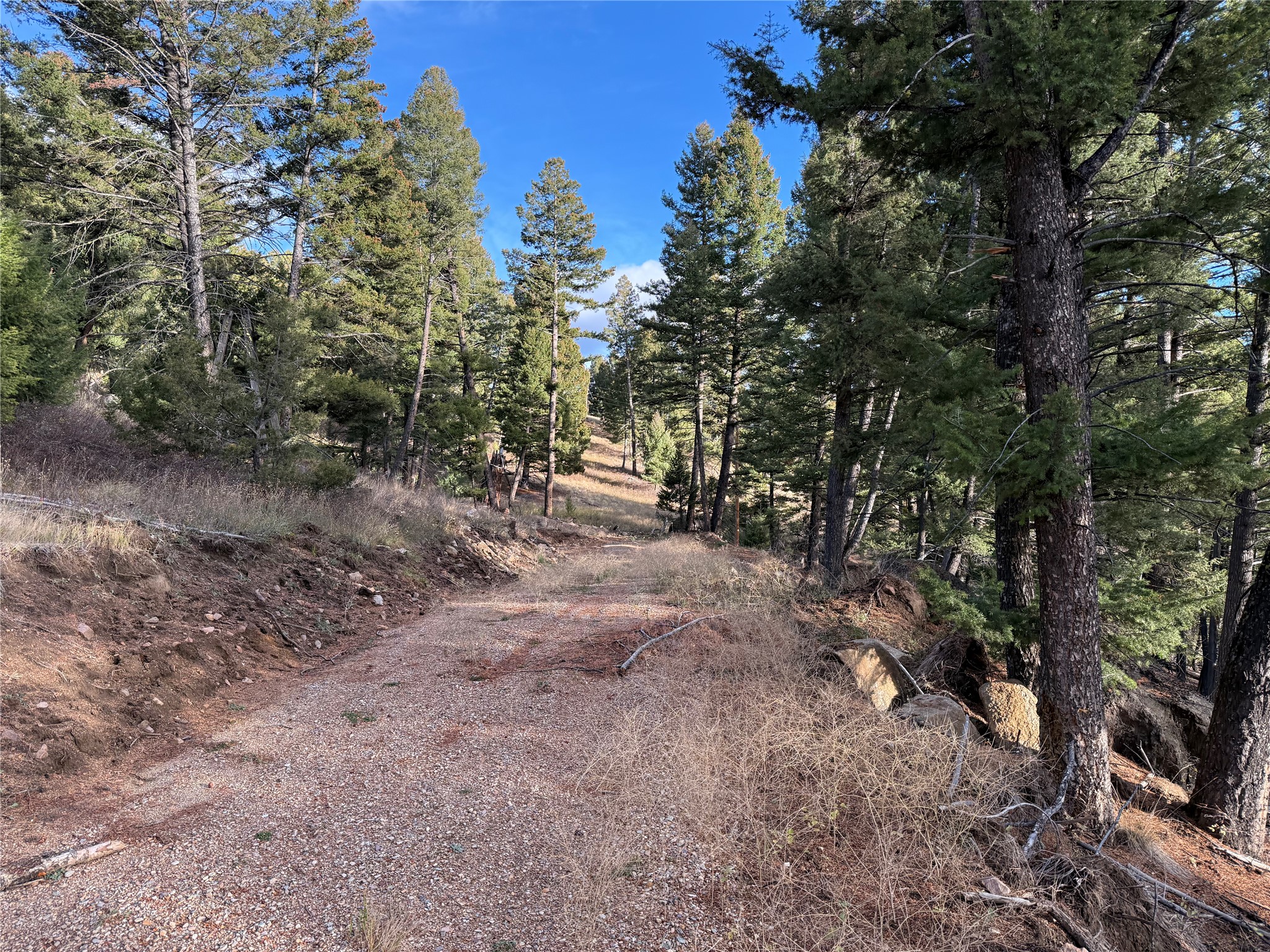 Lot 5 Scranton Lode Property Photo 18