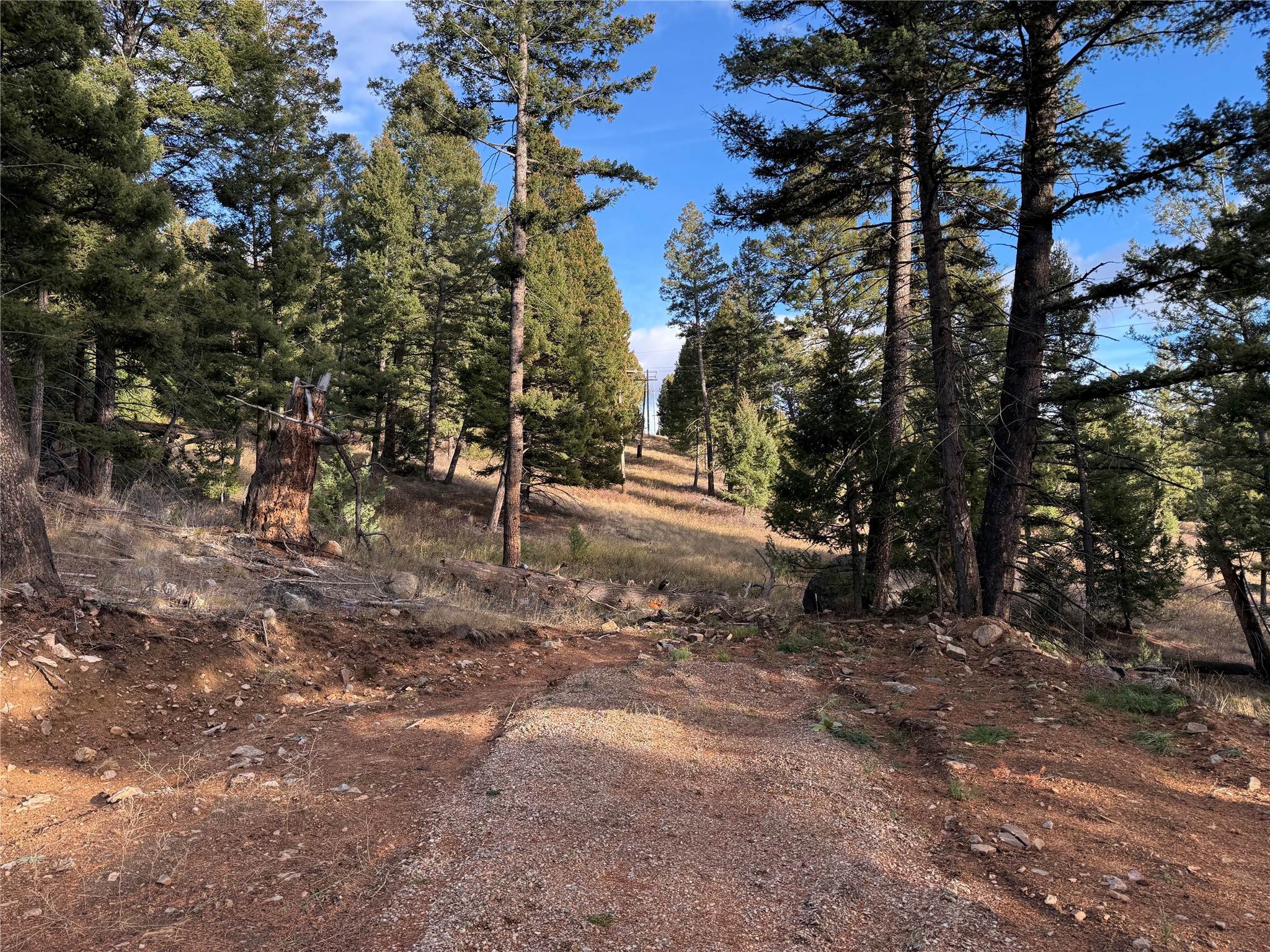 Lot 5 Scranton Lode Property Photo 19
