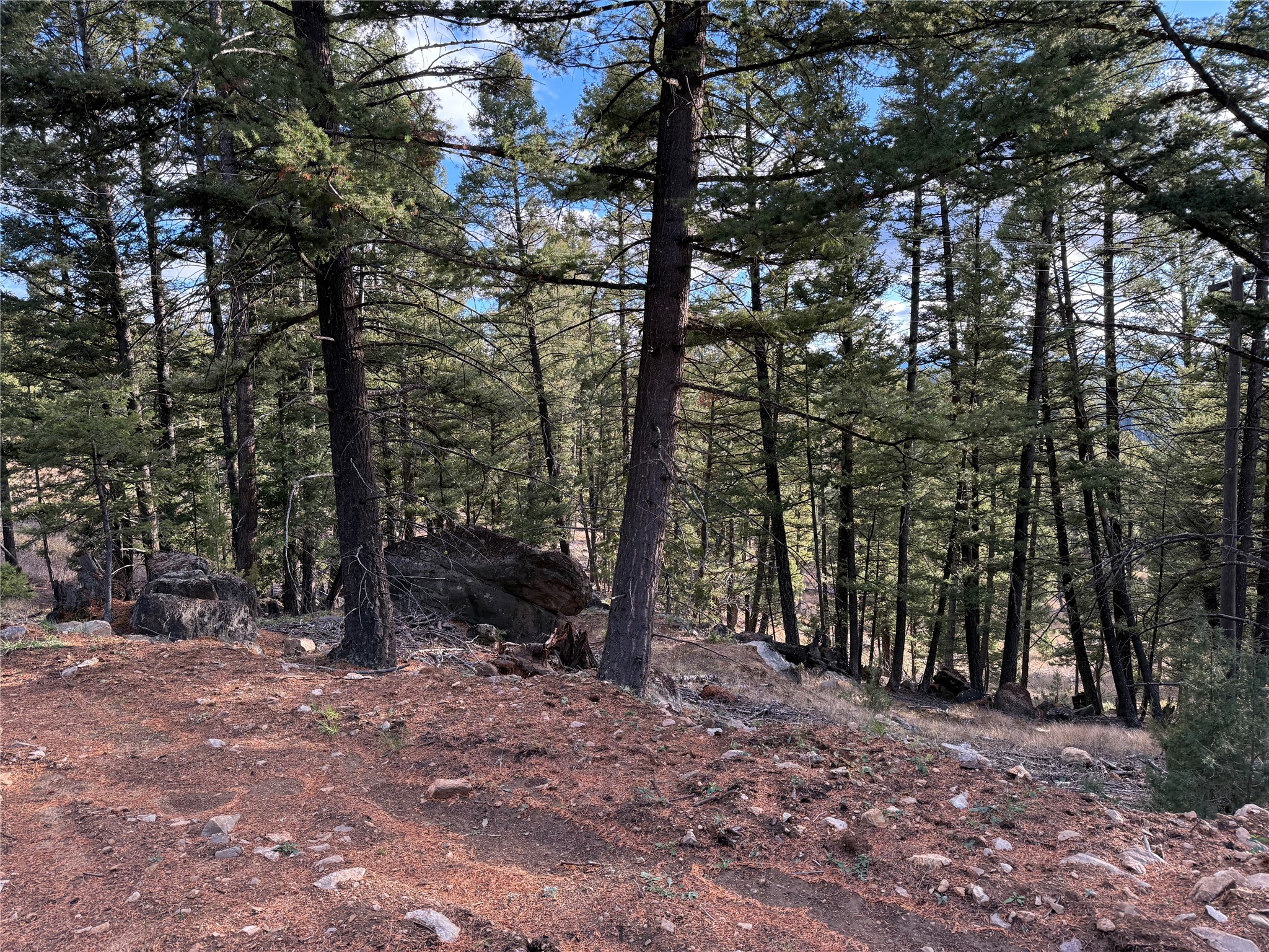 Lot 5 Scranton Lode Property Photo 21