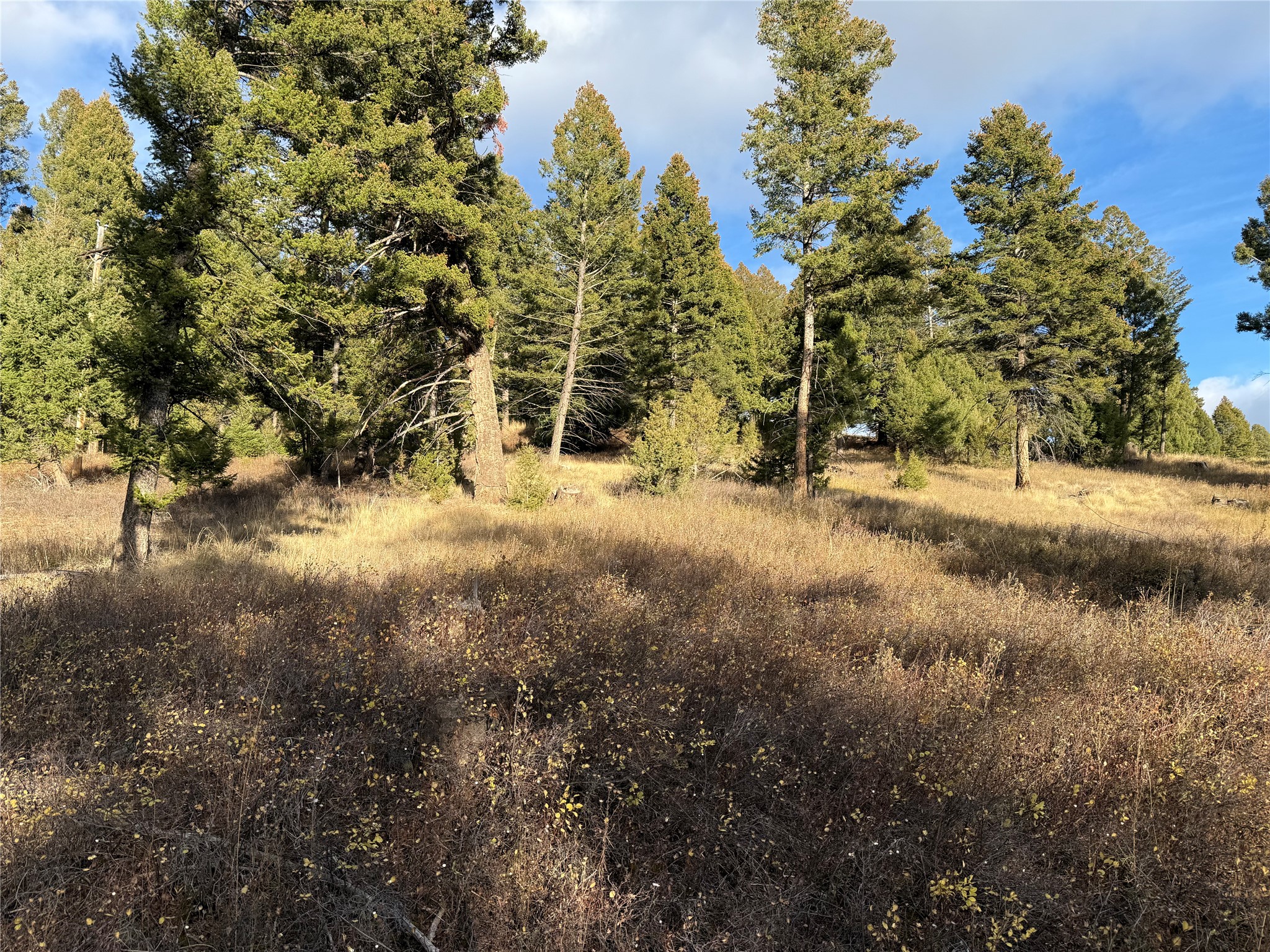 Lot 5 Scranton Lode Property Photo 24