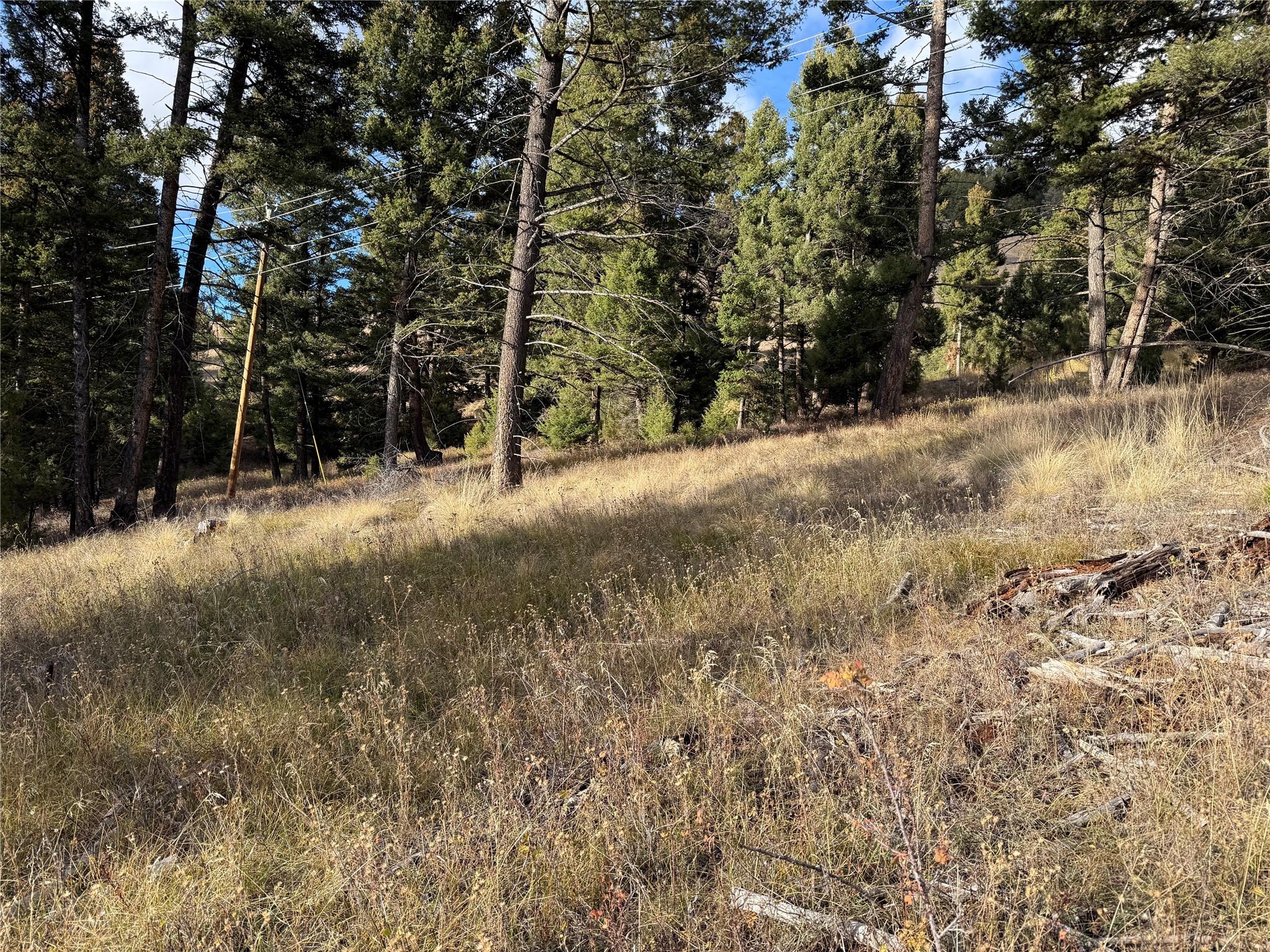 Lot 5 Scranton Lode Property Photo 28