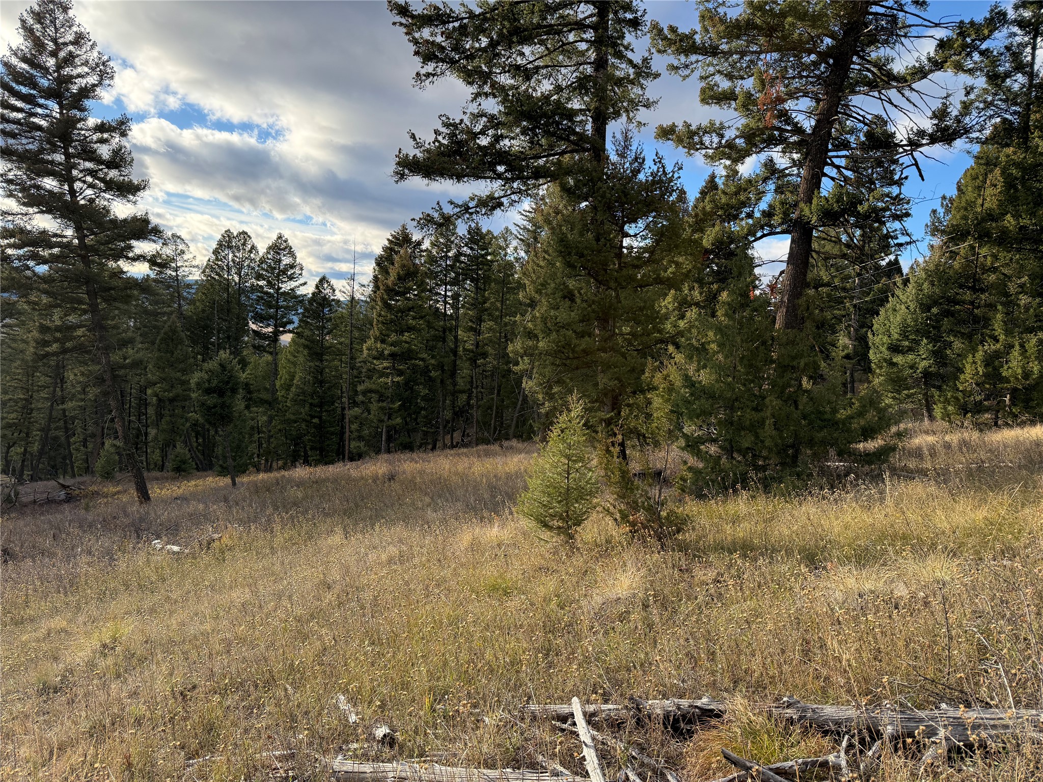 Lot 5 Scranton Lode Property Photo 29