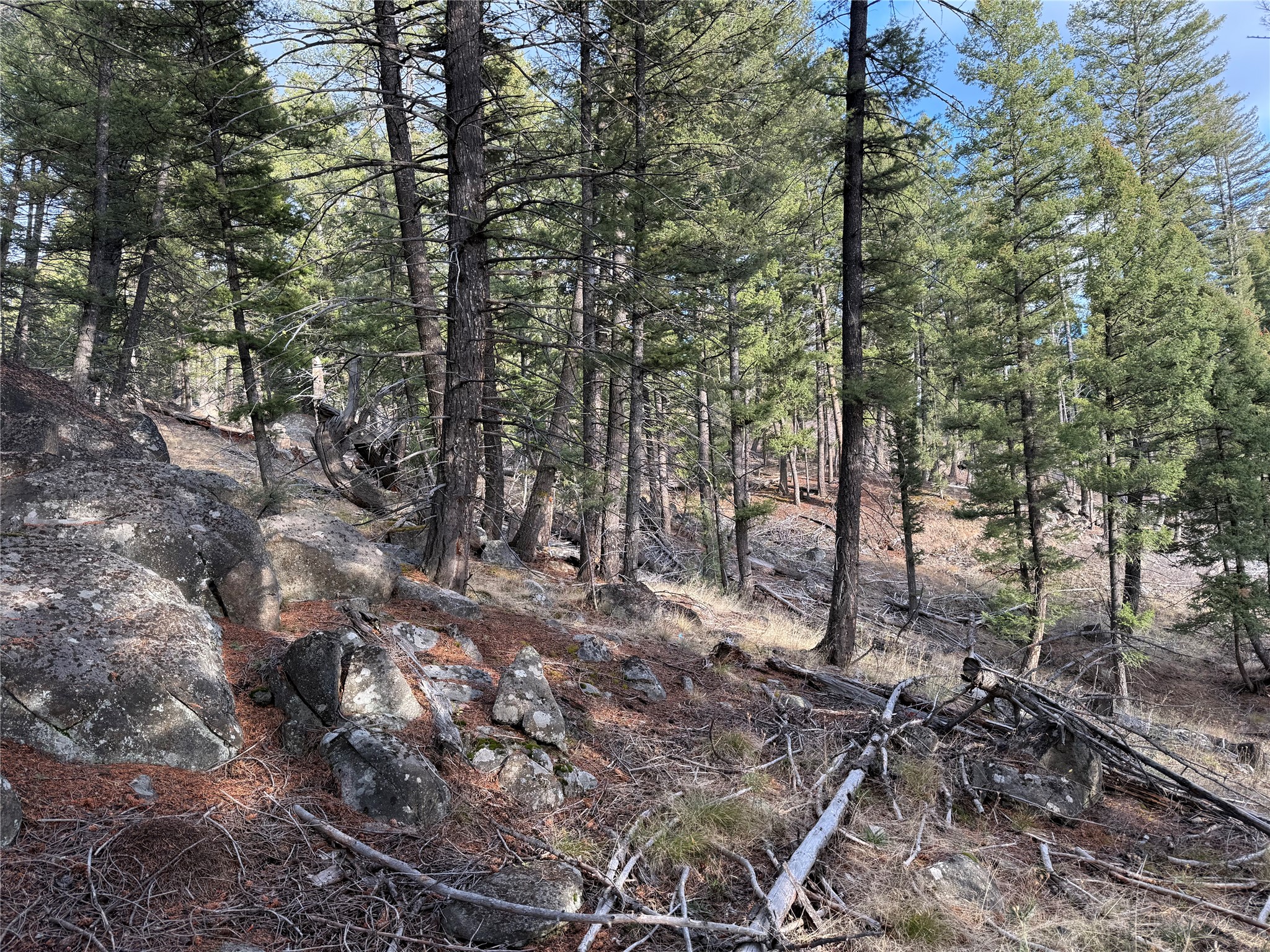 Lot 5 Scranton Lode Property Photo 30
