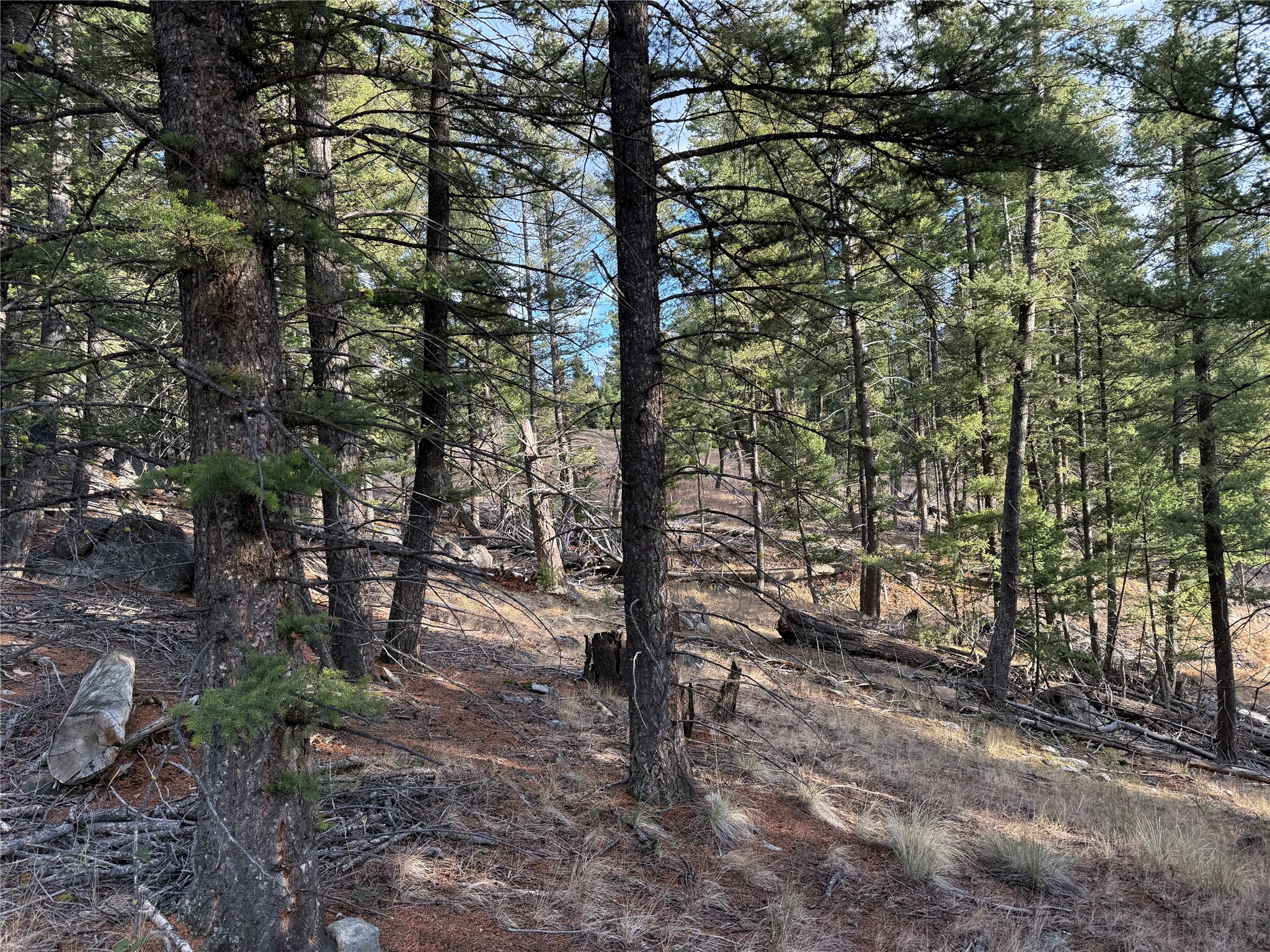 Lot 5 Scranton Lode Property Photo 31
