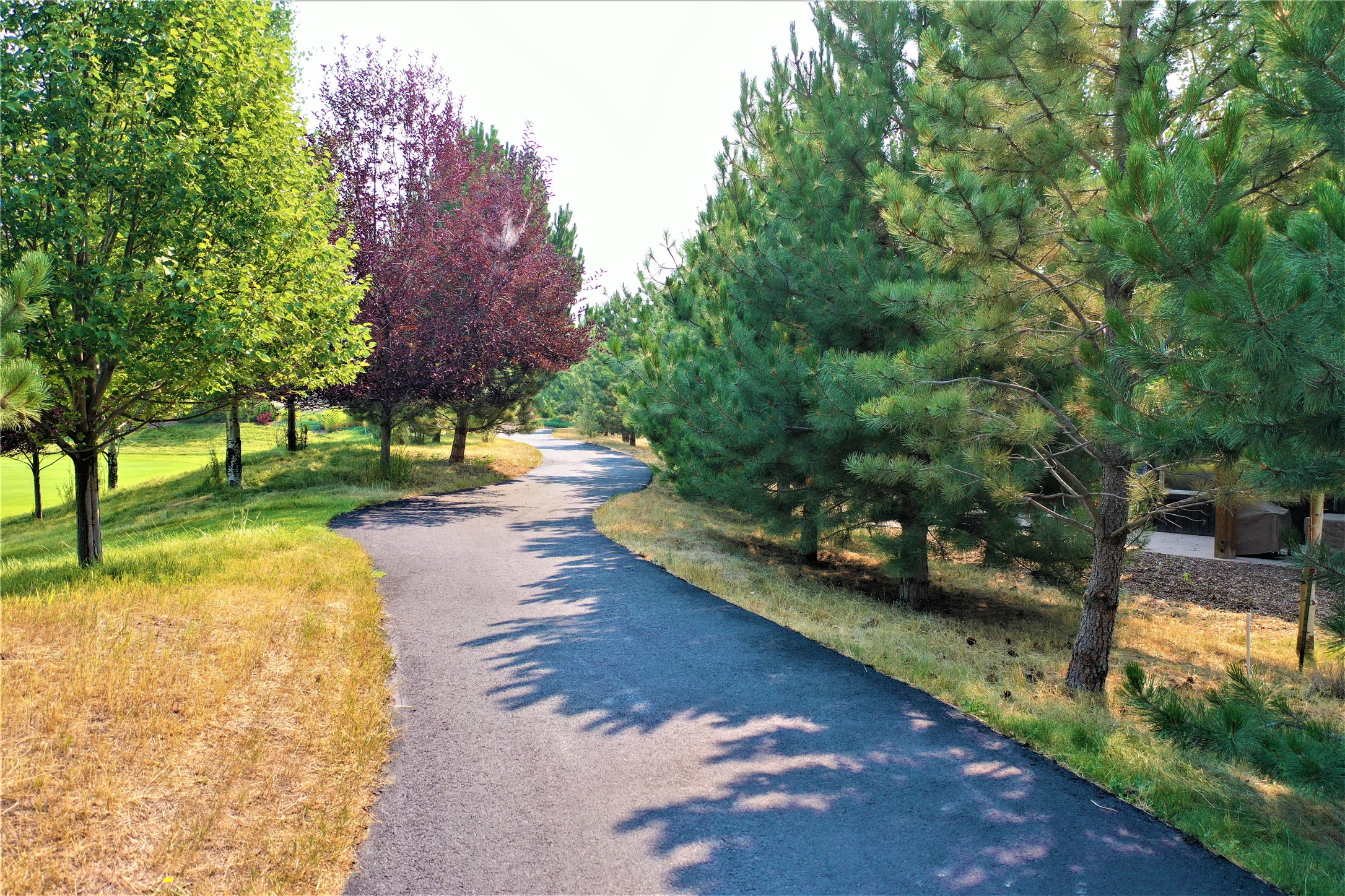 63 Rusty Iron Way Property Photo 44
