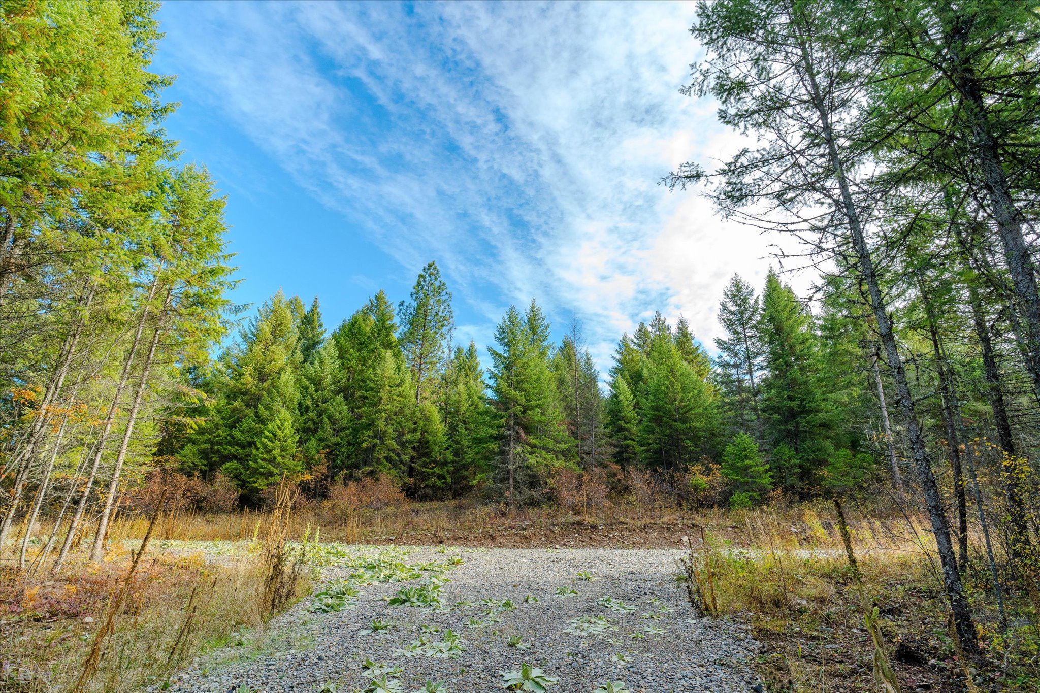 Lot 2 Mckay Minor Road Property Photo 7