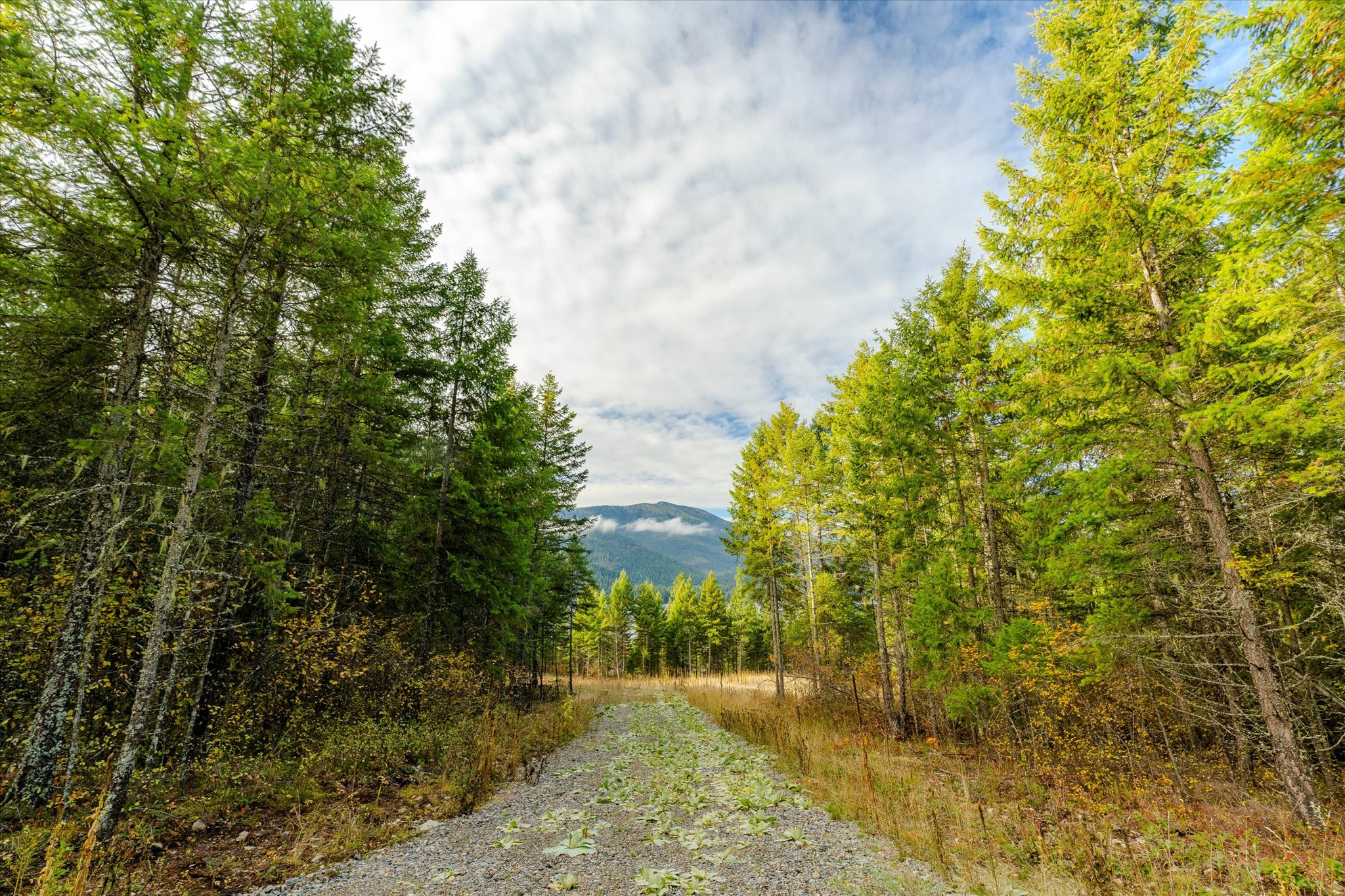 Lot 2 Mckay Minor Road Property Photo 8