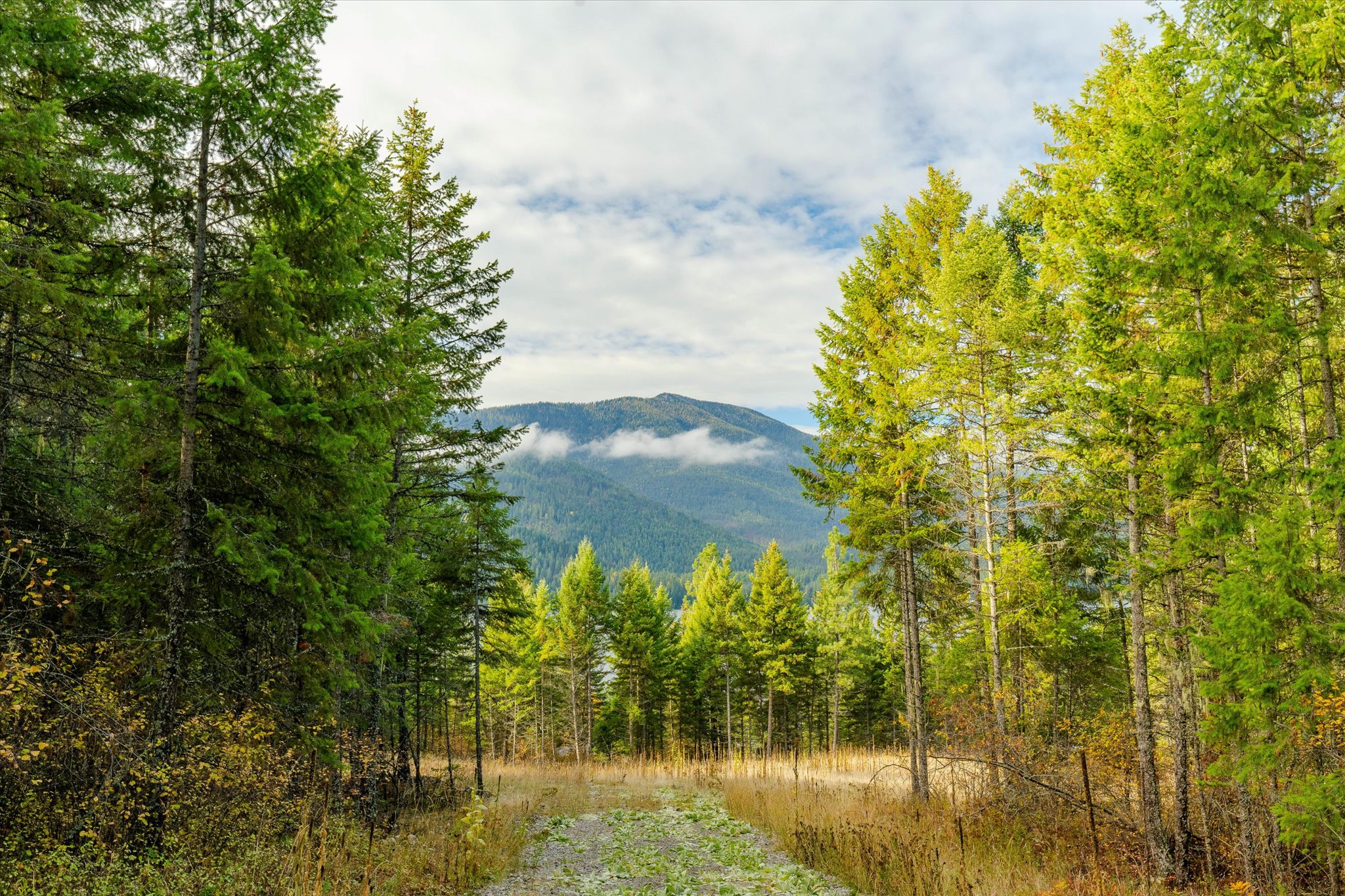 Lot 2 Mckay Minor Road Property Photo 9