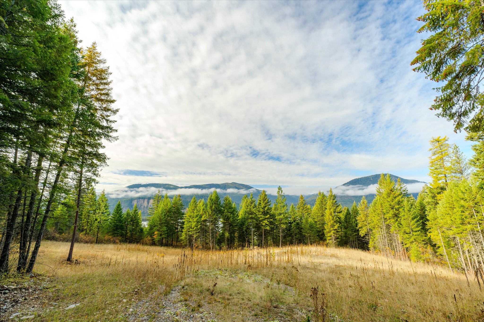 Lot 2 Mckay Minor Road Property Photo 11