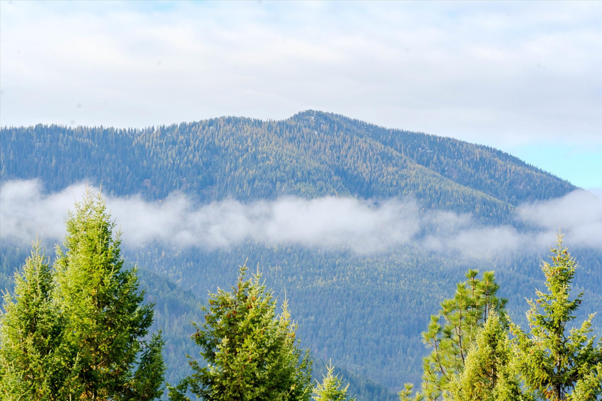 Lot 2 Mckay Minor Road Property Photo 13