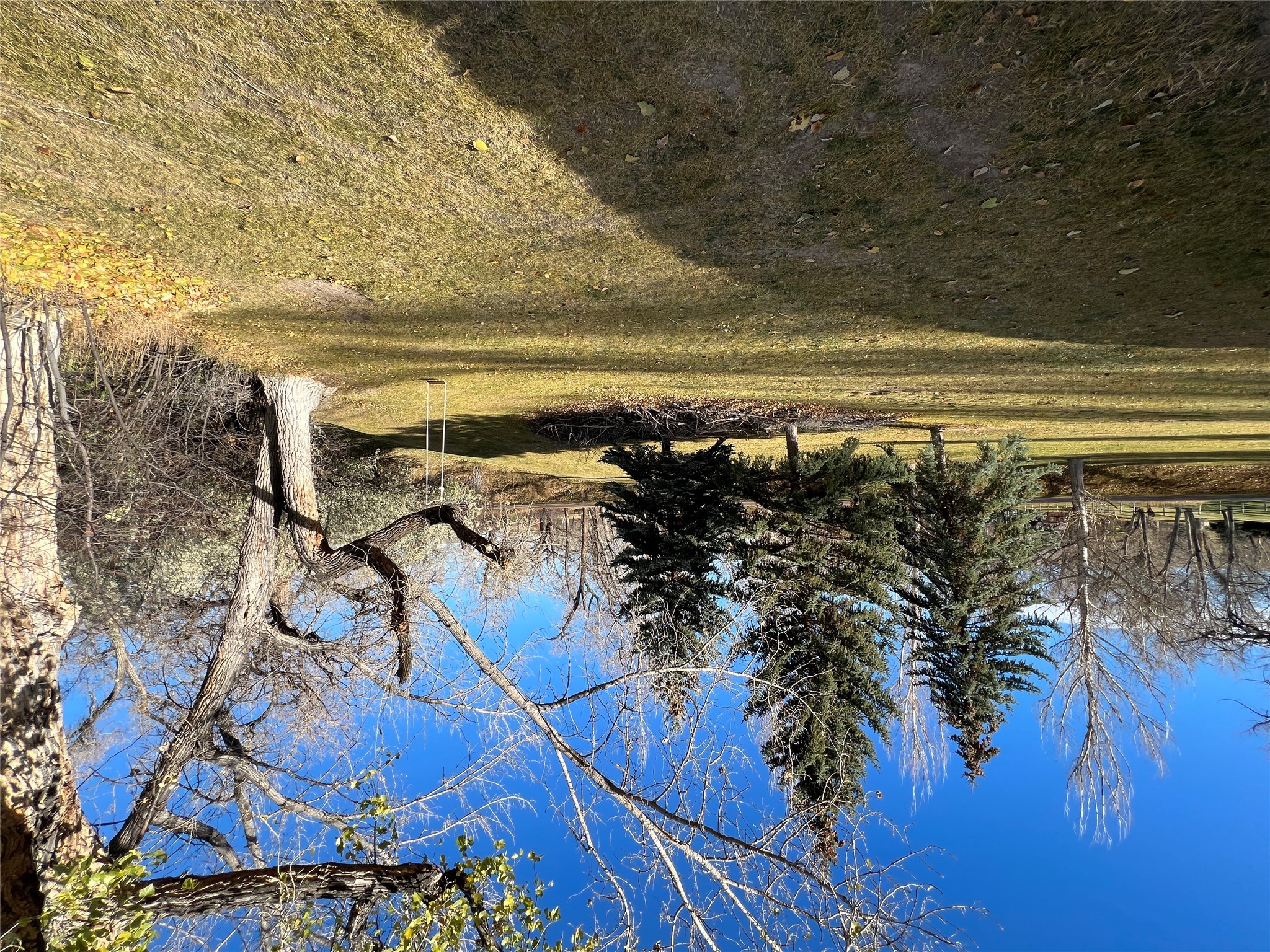 202 Woodland Estates Road Property Photo 13