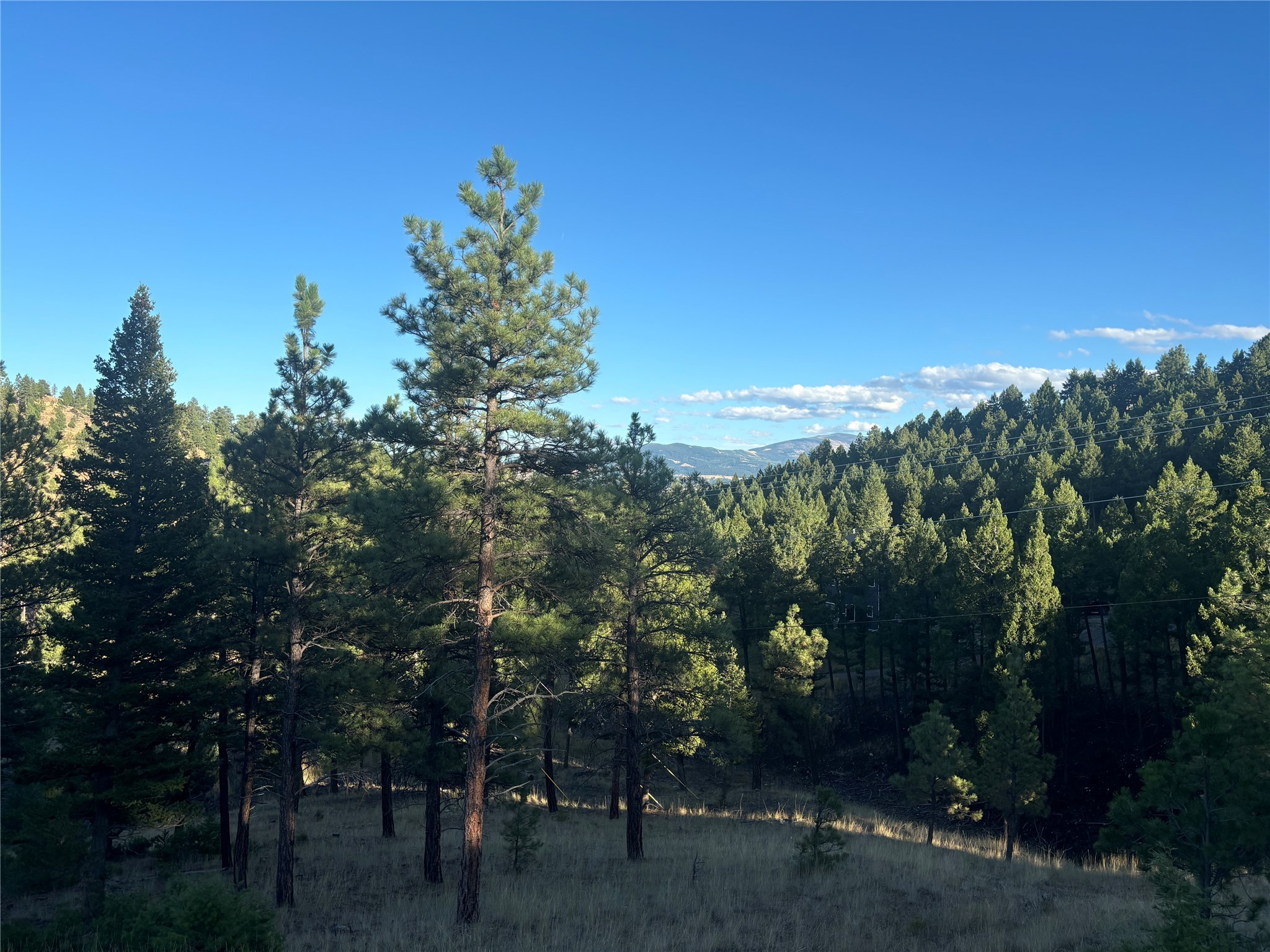 35 Crossfire Drive Property Photo 4