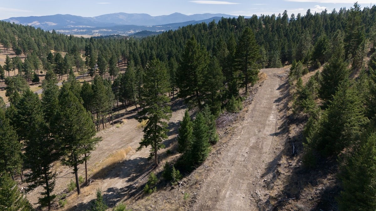 35 Crossfire Drive Property Photo 9