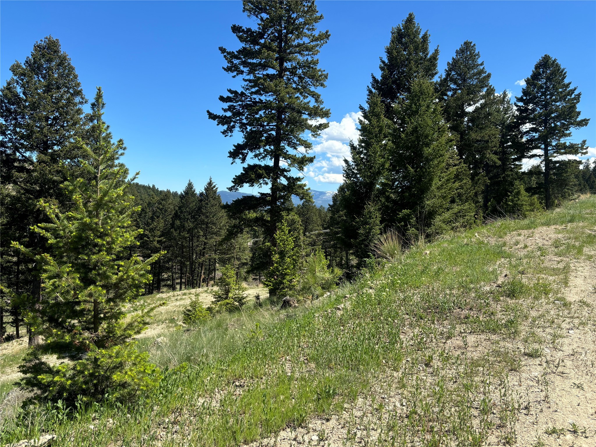 35 Crossfire Drive Property Photo 11