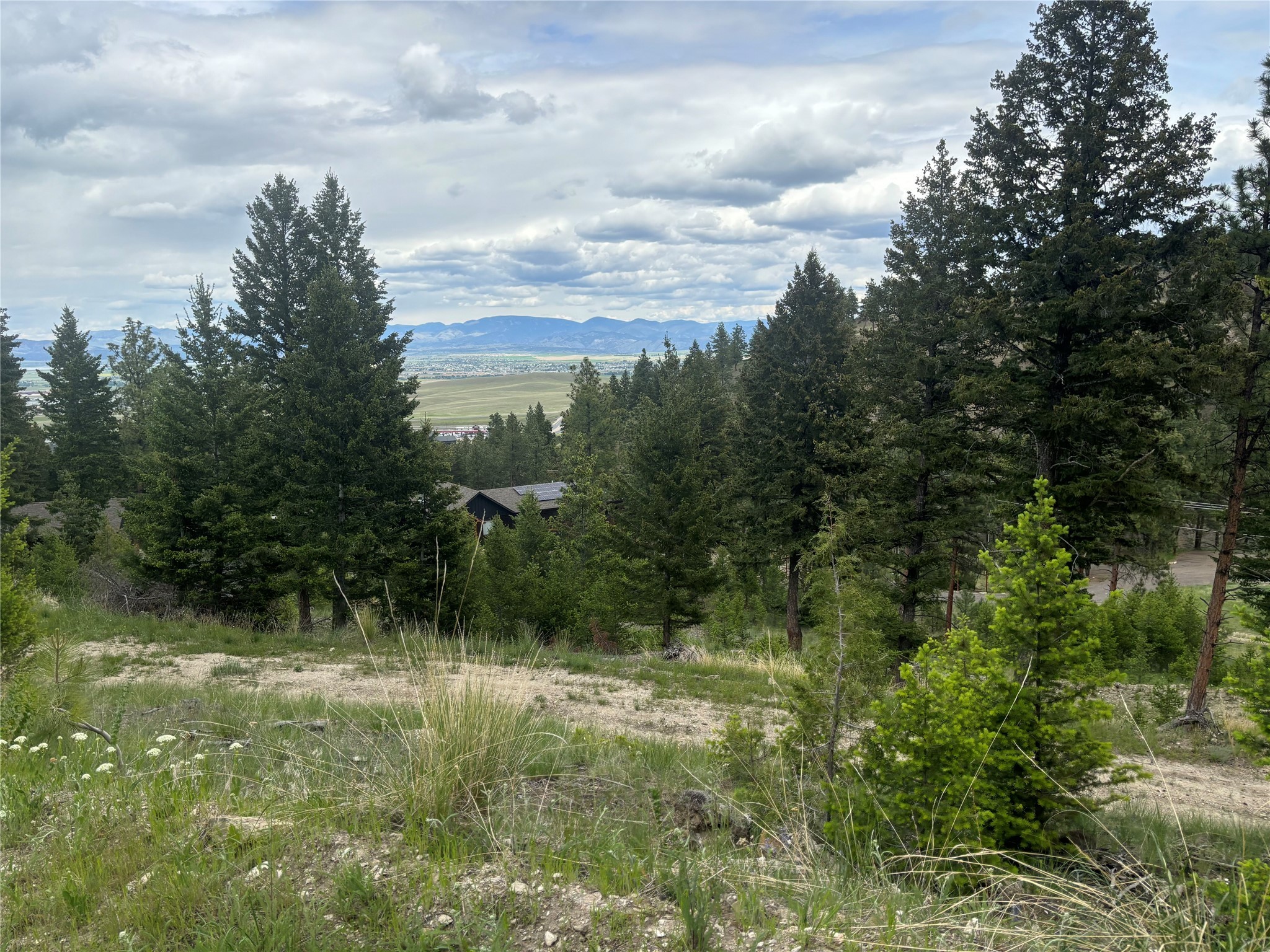 35 Crossfire Drive Property Photo 12