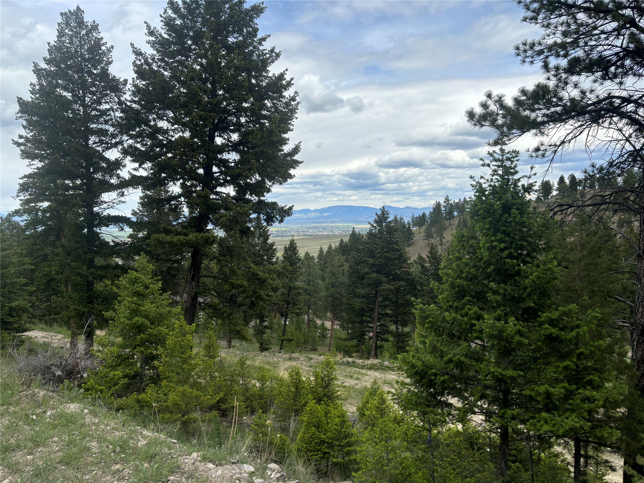 35 Crossfire Drive Property Photo 13