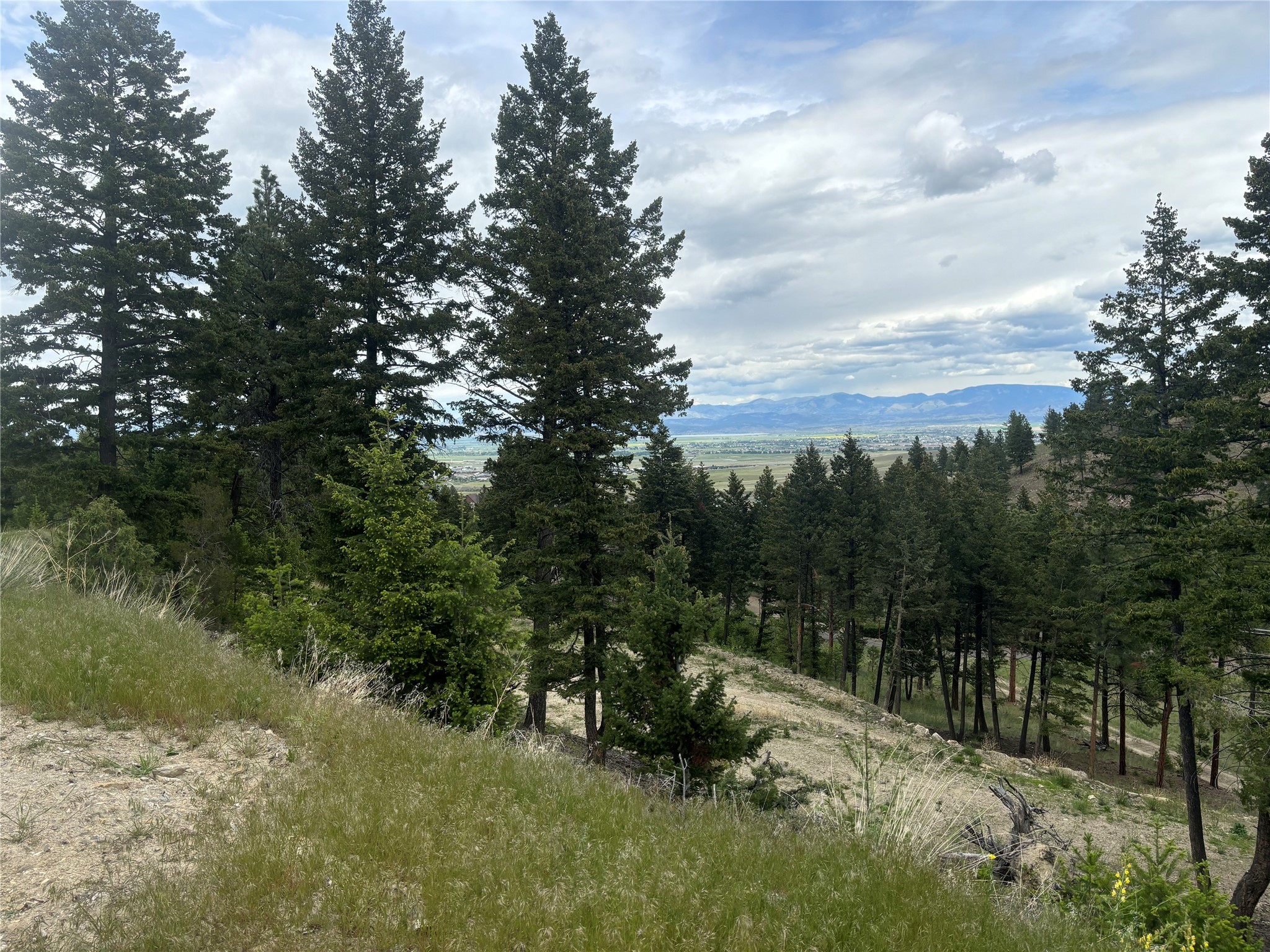 35 Crossfire Drive Property Photo 14